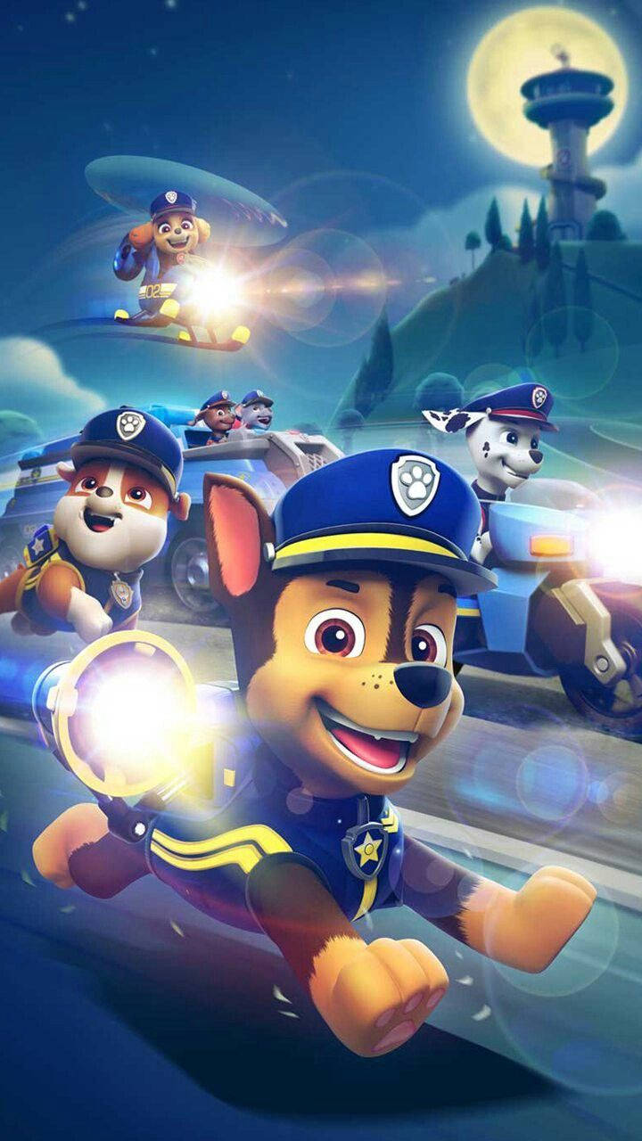 Paw Patrol, Chase, moonlit night, HD Phone Wallpaper
