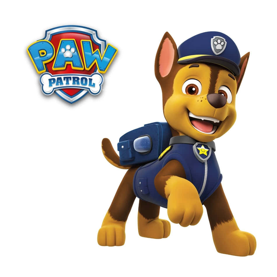 Chase, Paw Patrol, blue police uniform, SD Desktop Wallpaper