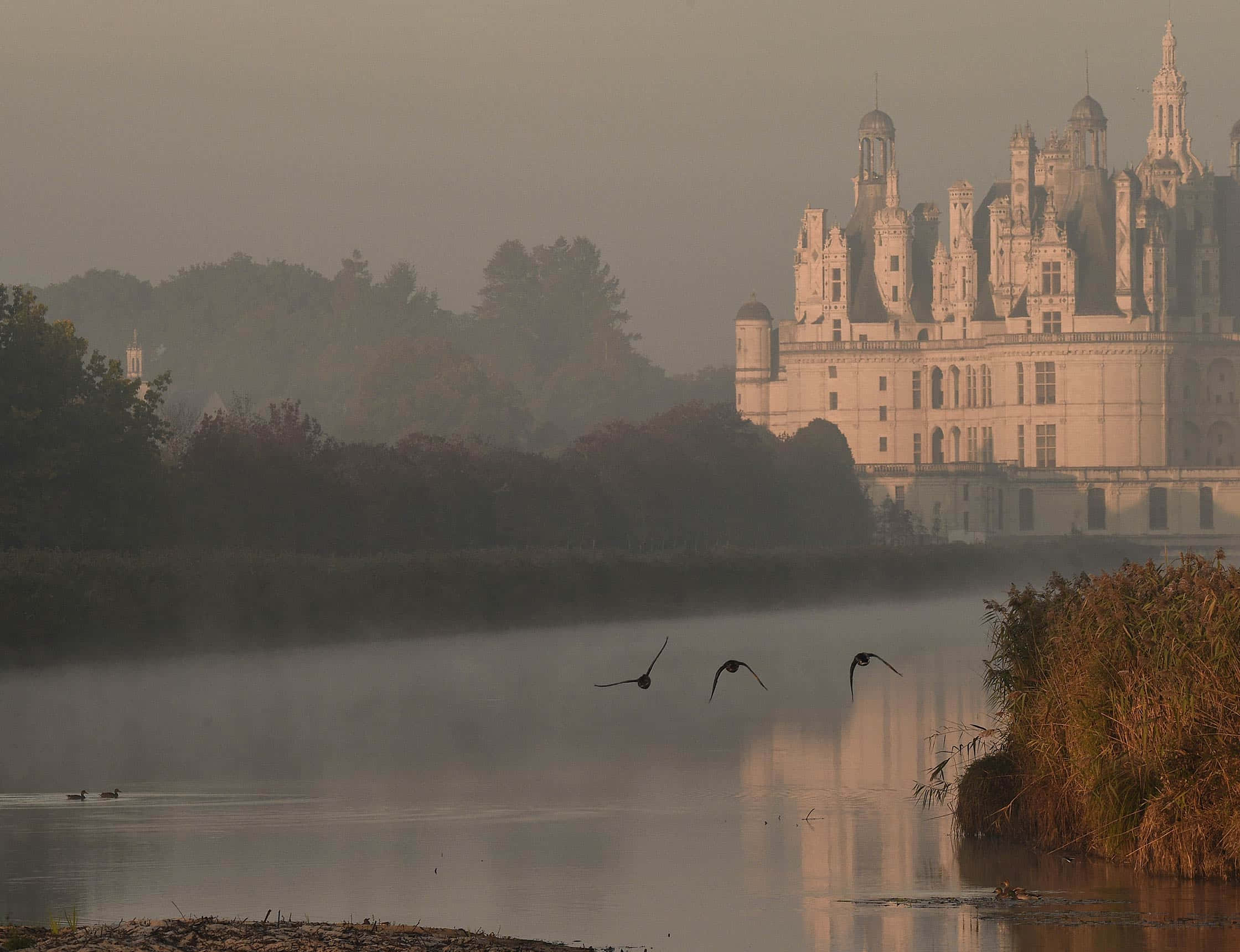 Chateau De Chambord, misty dawn, river, Full HD Desktop Wallpaper