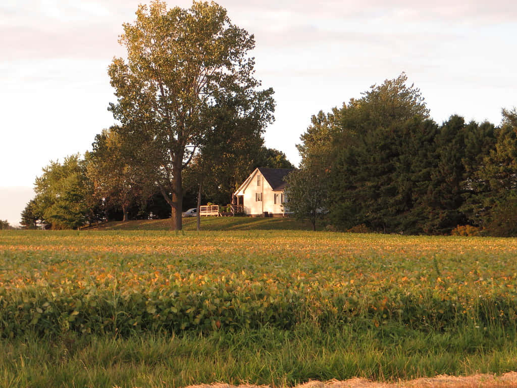 rural sunset home, Chatham Kent, white farmhouse, SD Desktop Wallpaper