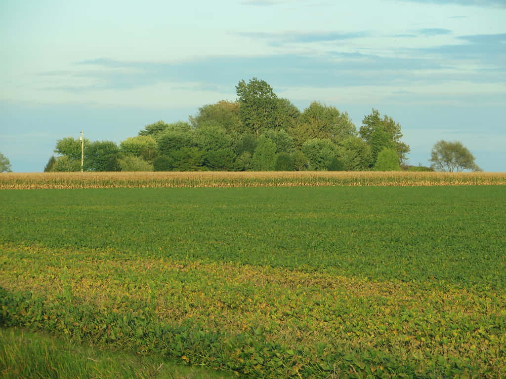 Chatham Kent, farmland, dusk, SD Desktop Wallpaper