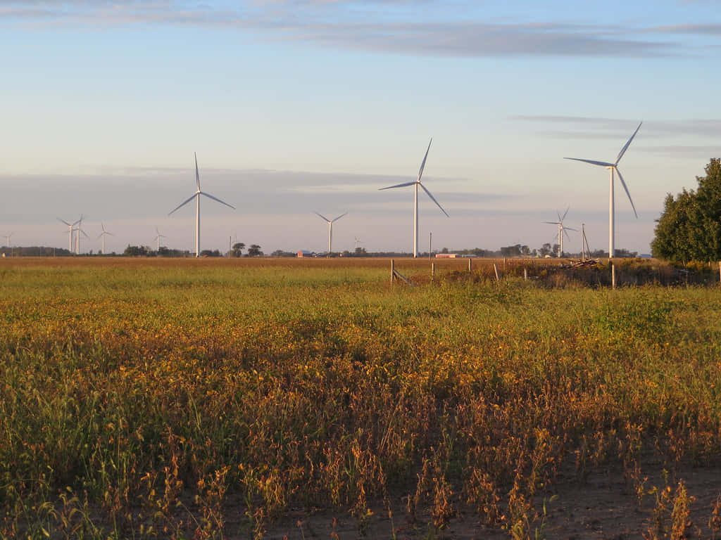 golden hour, wind turbines, Chatham Kent, SD Desktop Wallpaper
