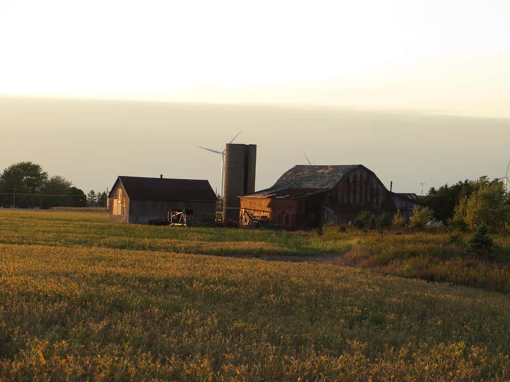 Chatham Kent, farm, sunset, SD Desktop Wallpaper