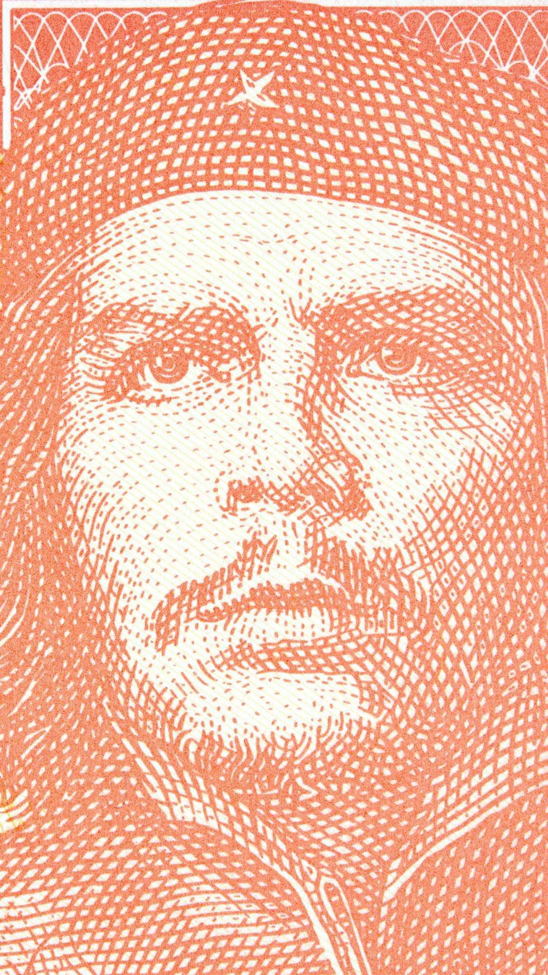 Che Guevara, orange and white intricate line art, currency, Full HD Phone Wallpaper