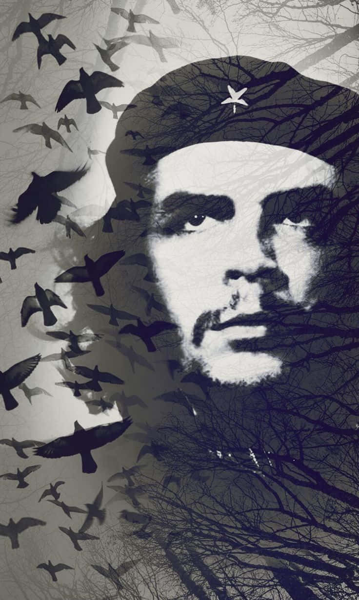 Che Guevara, iconic portrait, star-adorned beret, SD Phone Wallpaper