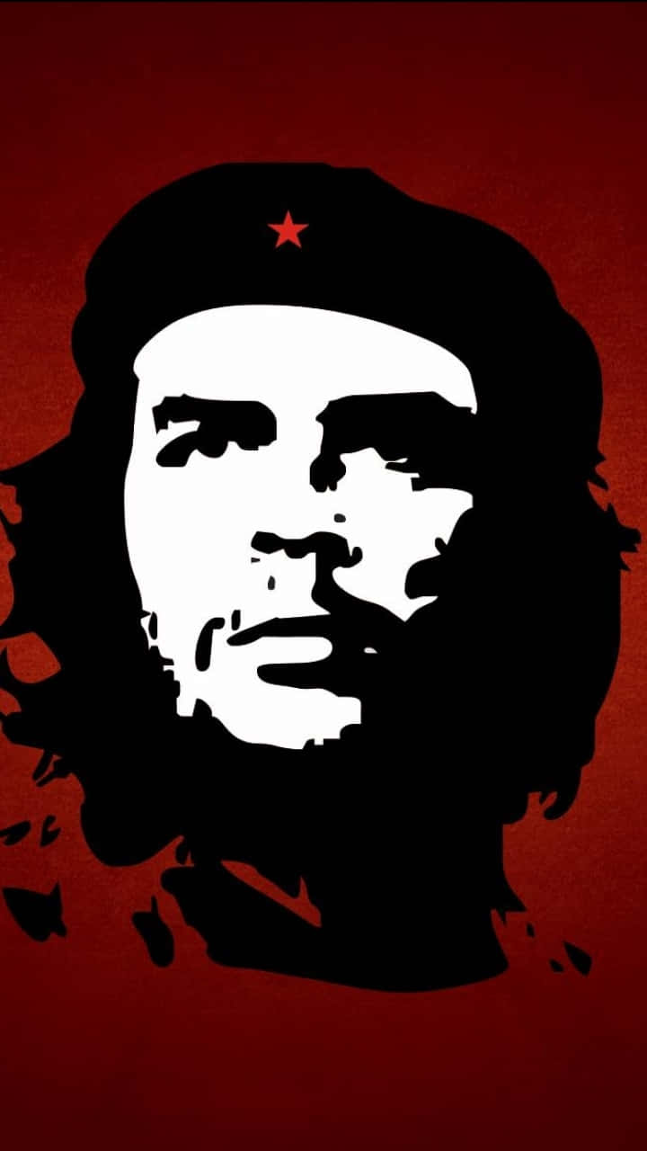 Che Guevara, red star beret, black and white stencil portrait, HD Phone Wallpaper