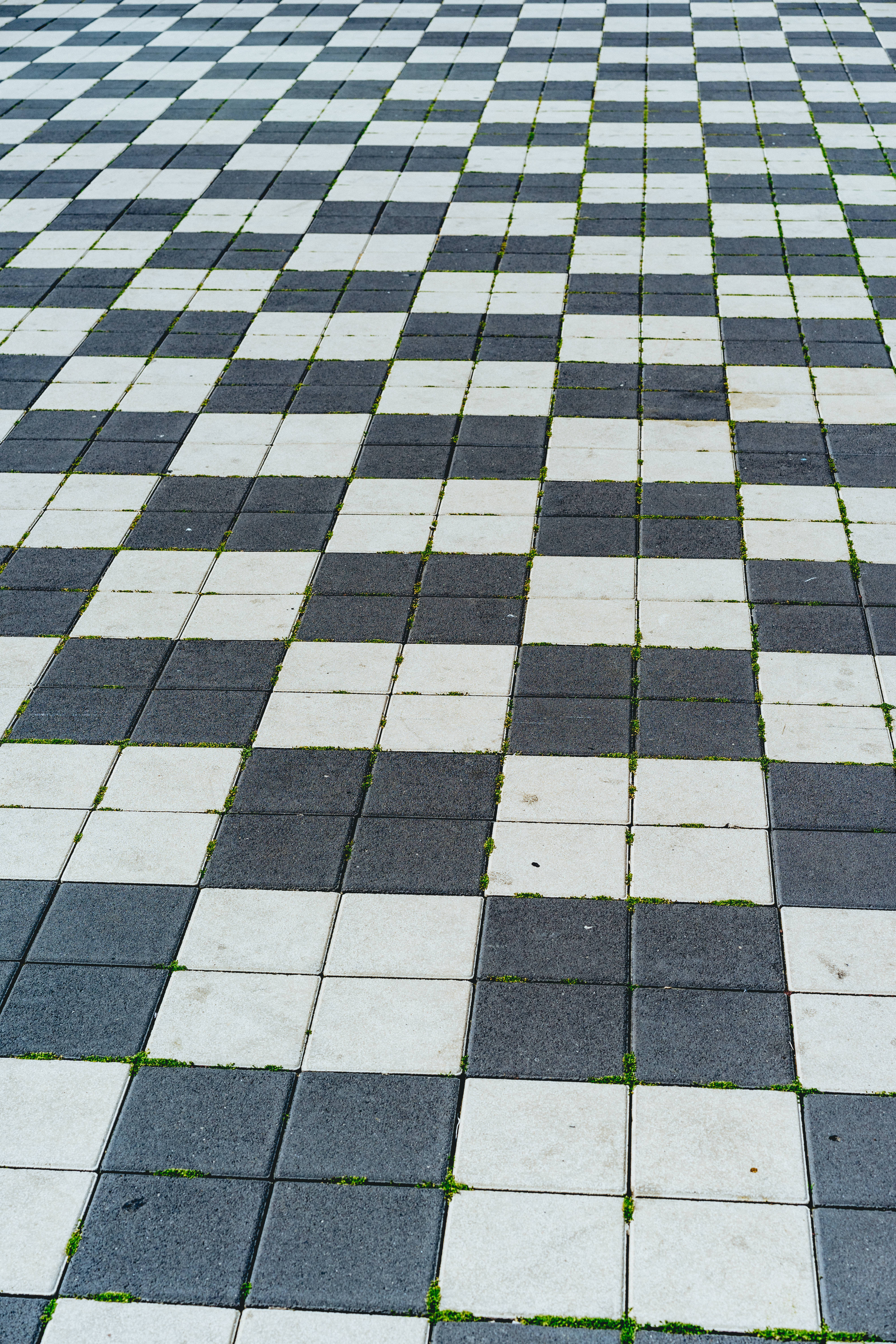 white black checkered tile floor, weathered black and white checkered pavement, green moss, 5K Phone Wallpaper