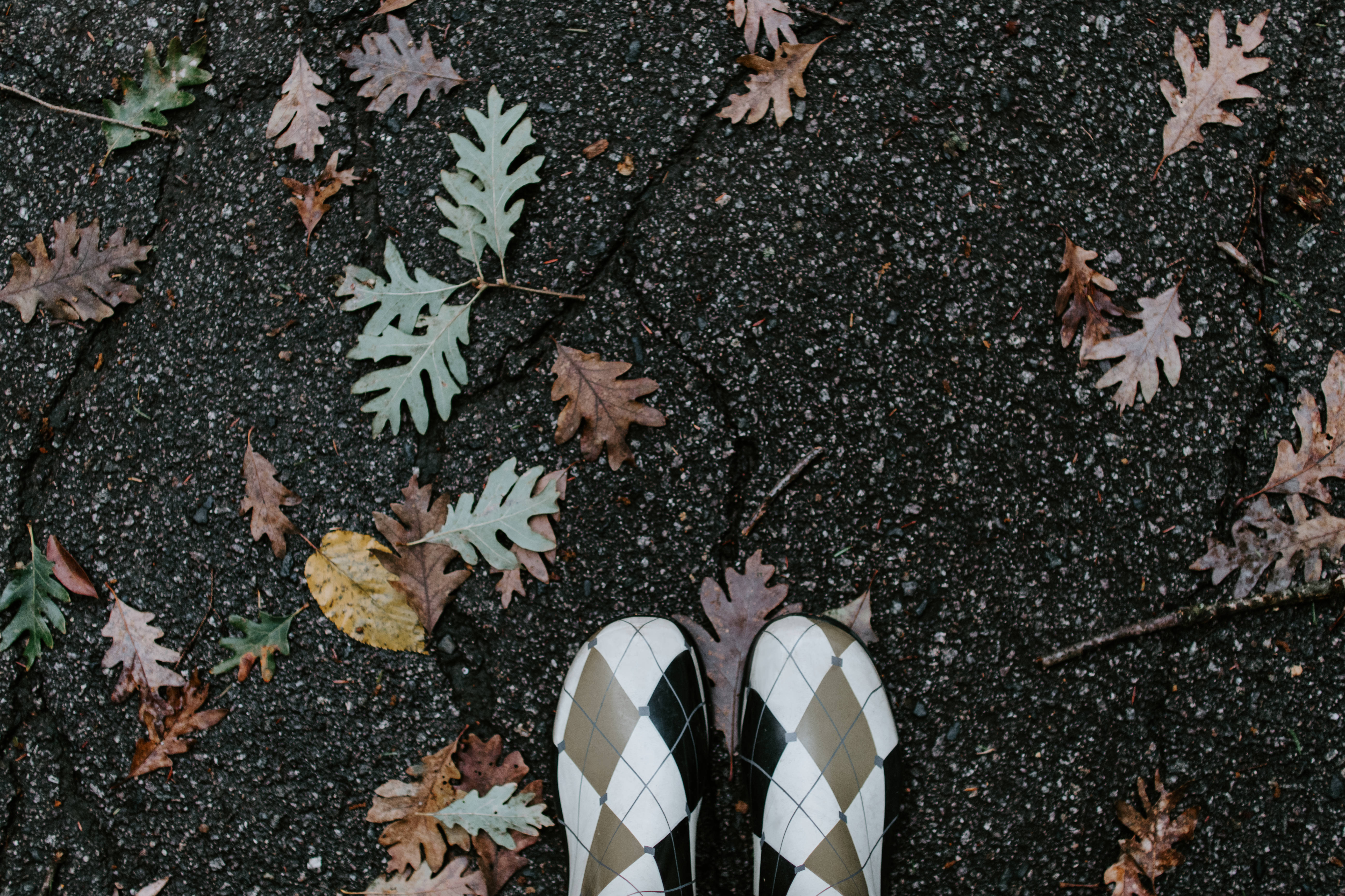 argyle-patterned boots, cracked asphalt, autumn leaves, 5K Desktop Wallpaper