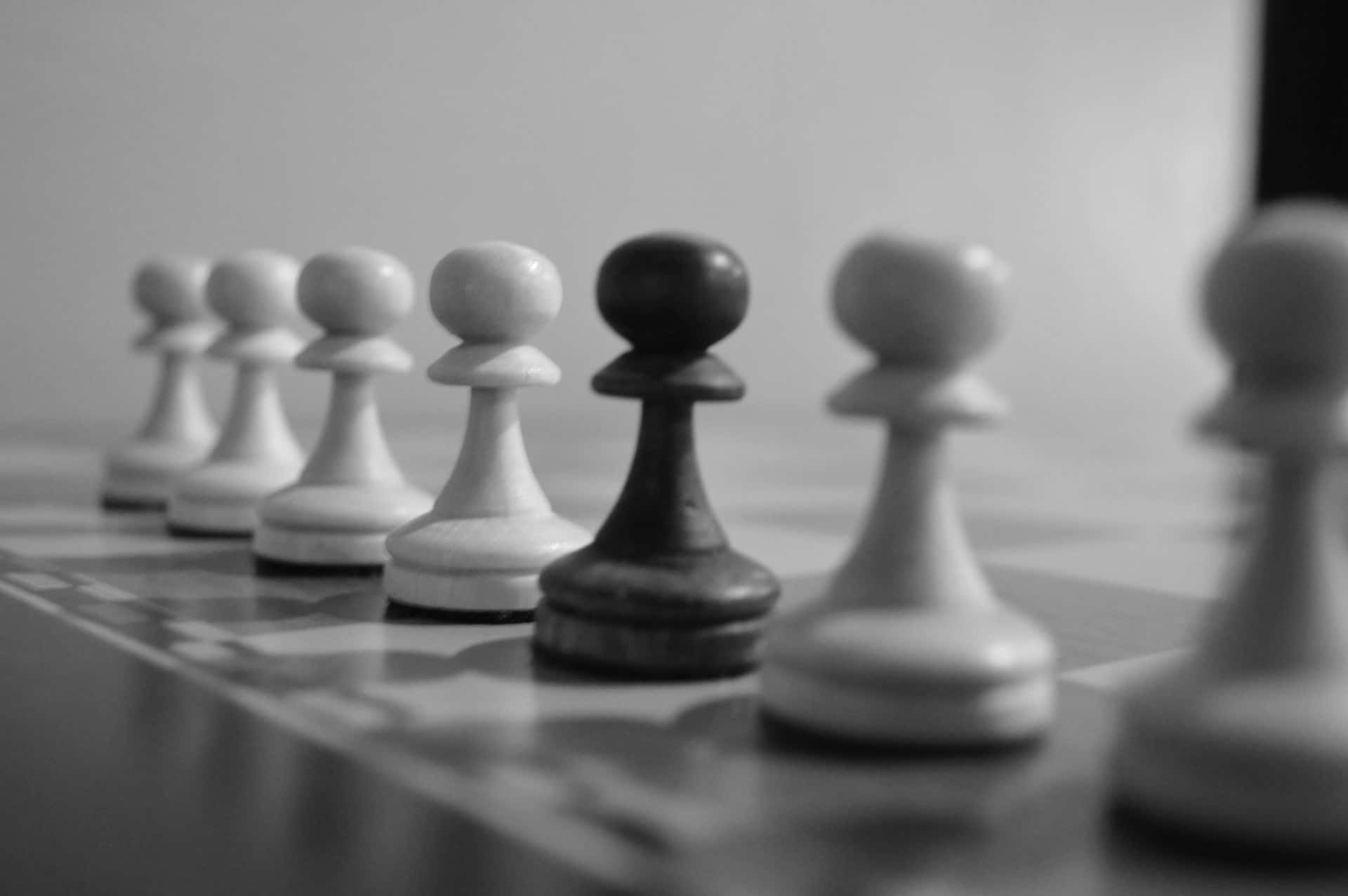 black and white chess pawns, checkered board, shallow depth of field, Full HD Desktop Wallpaper