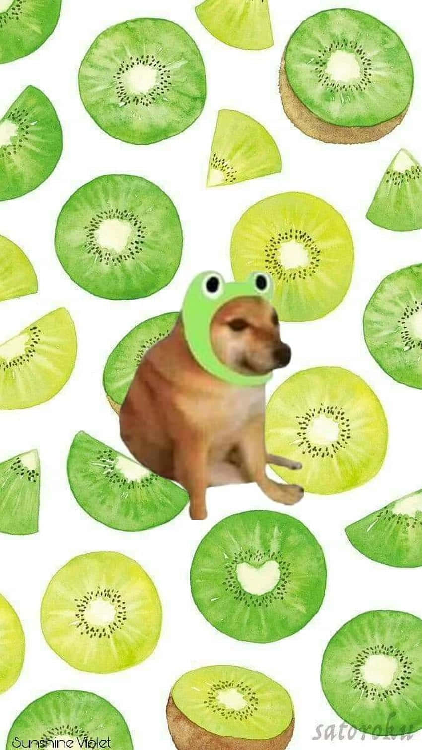 Cheems, frog hat, kiwi slices, HD Phone Wallpaper