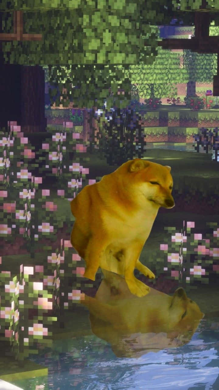 Cheems, pixelated shiba inu, Minecraft-style garden, SD Phone Wallpaper