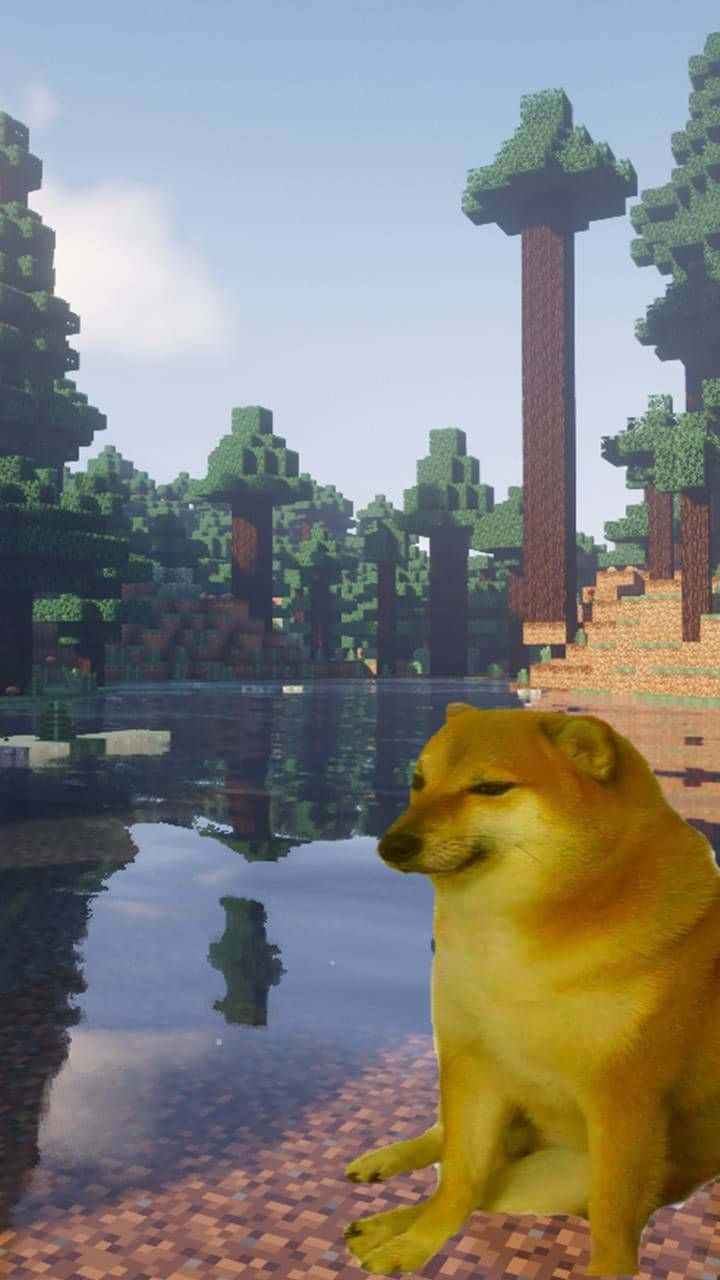 Cheems, Shiba Inu dog, Minecraft lake, HD Phone Wallpaper