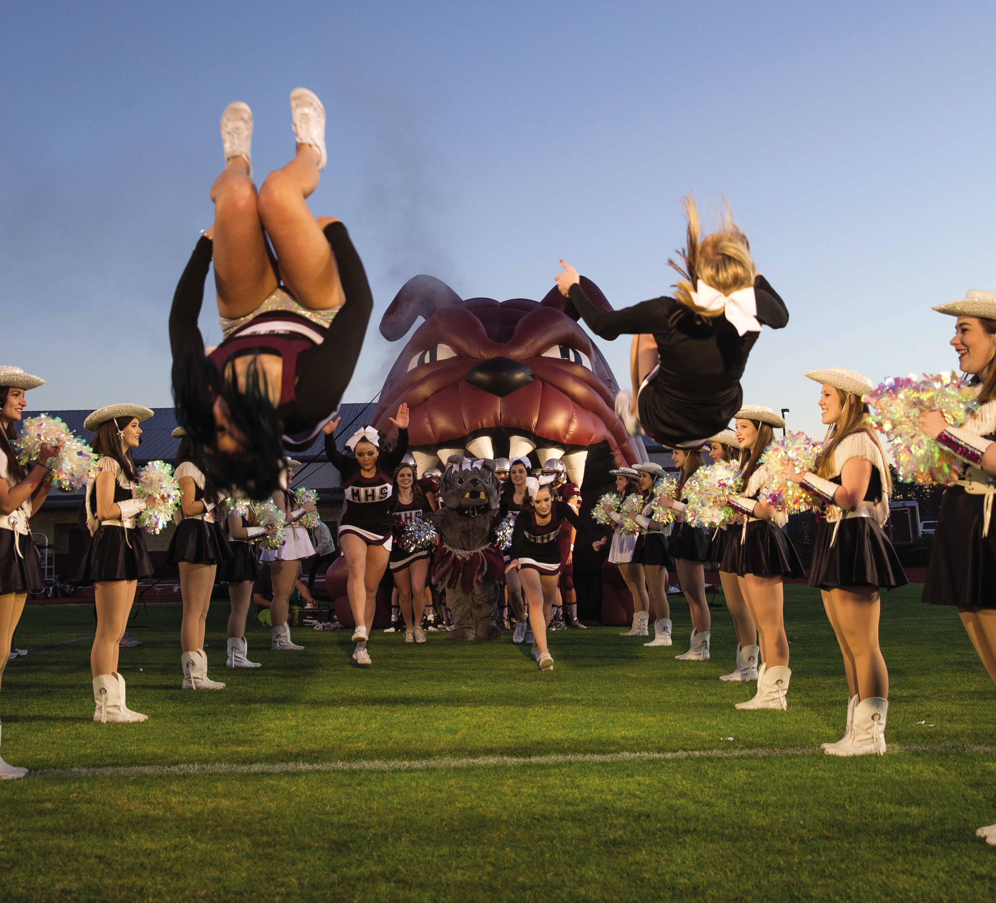 black and white uniforms, giant inflatable bulldog mascot, grassy field, 2K Desktop Wallpaper