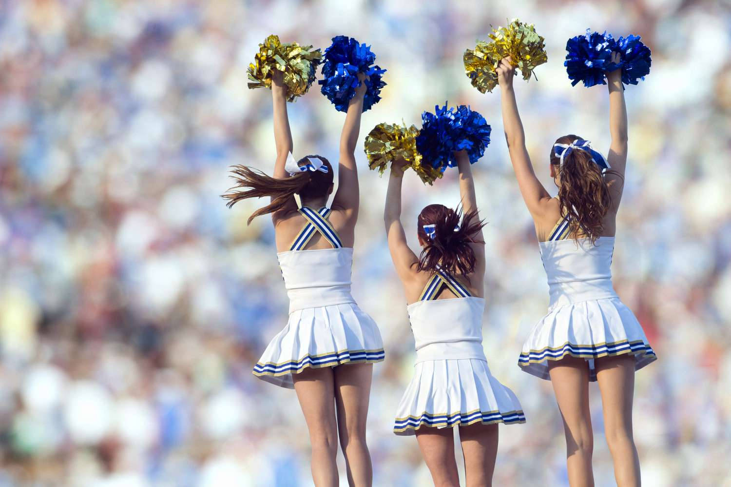 blue and gold pom-poms, white uniforms, stadium crowd, HD Desktop Wallpaper