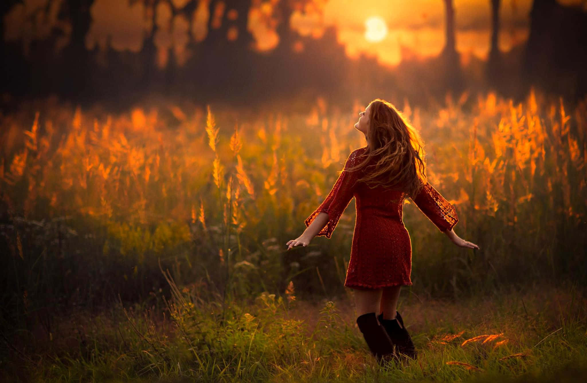 red dress, golden field, sunset, Full HD Desktop Wallpaper