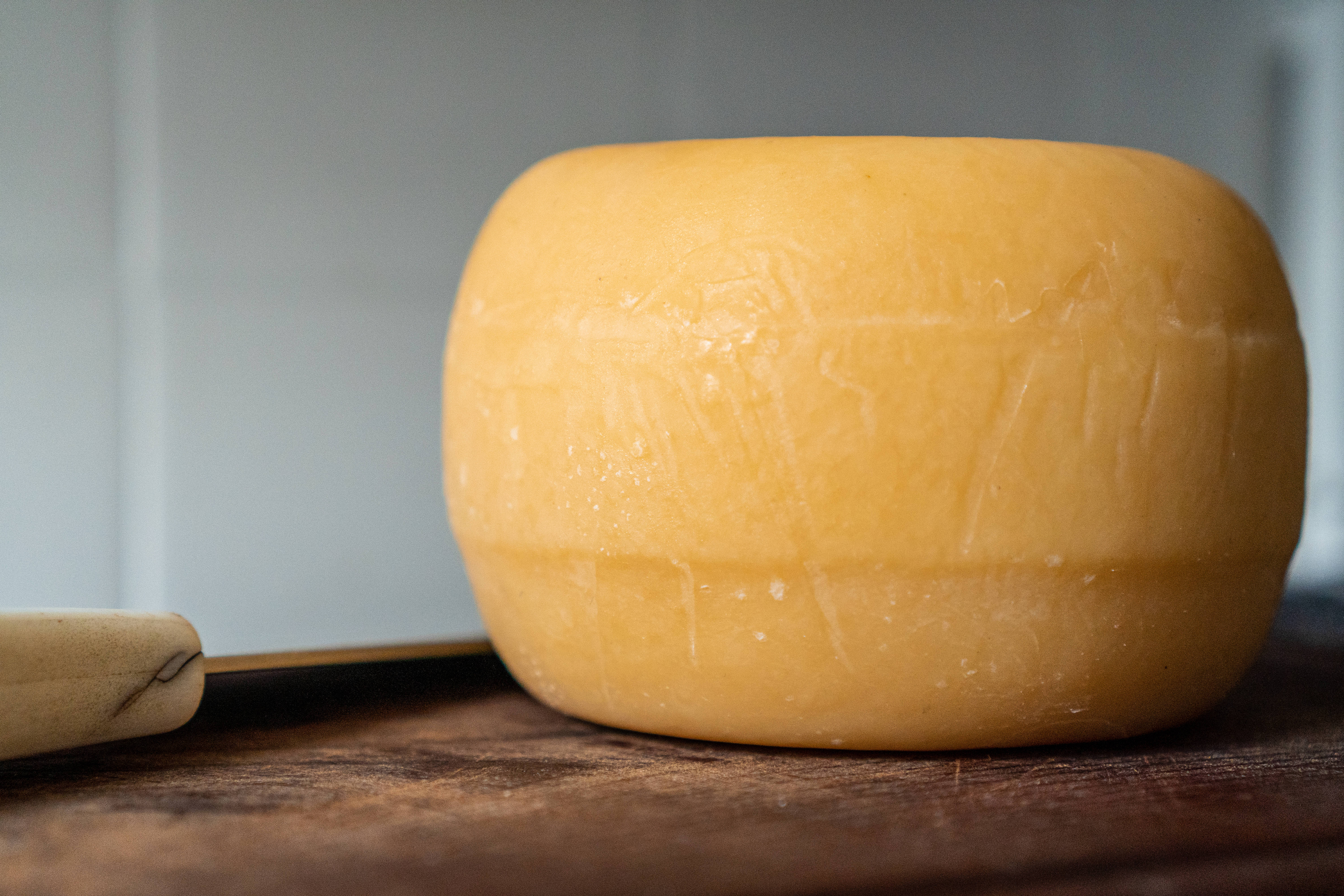 huge round cheese, yellow cheese, textured rind, 5K Desktop Wallpaper