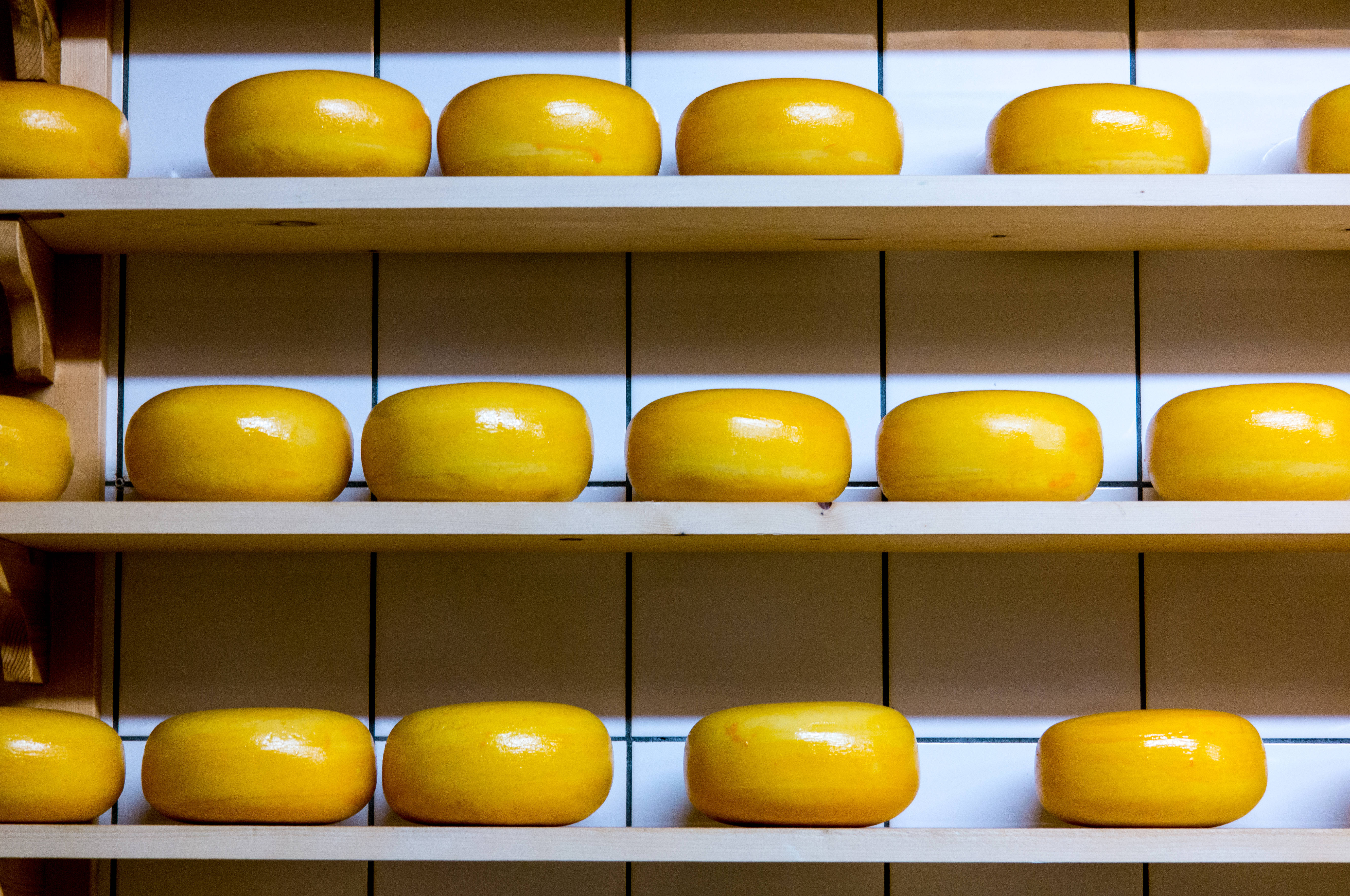 round yellow cheese, glossy golden-yellow cheese wheels, wooden shelves, 5K Desktop Wallpaper