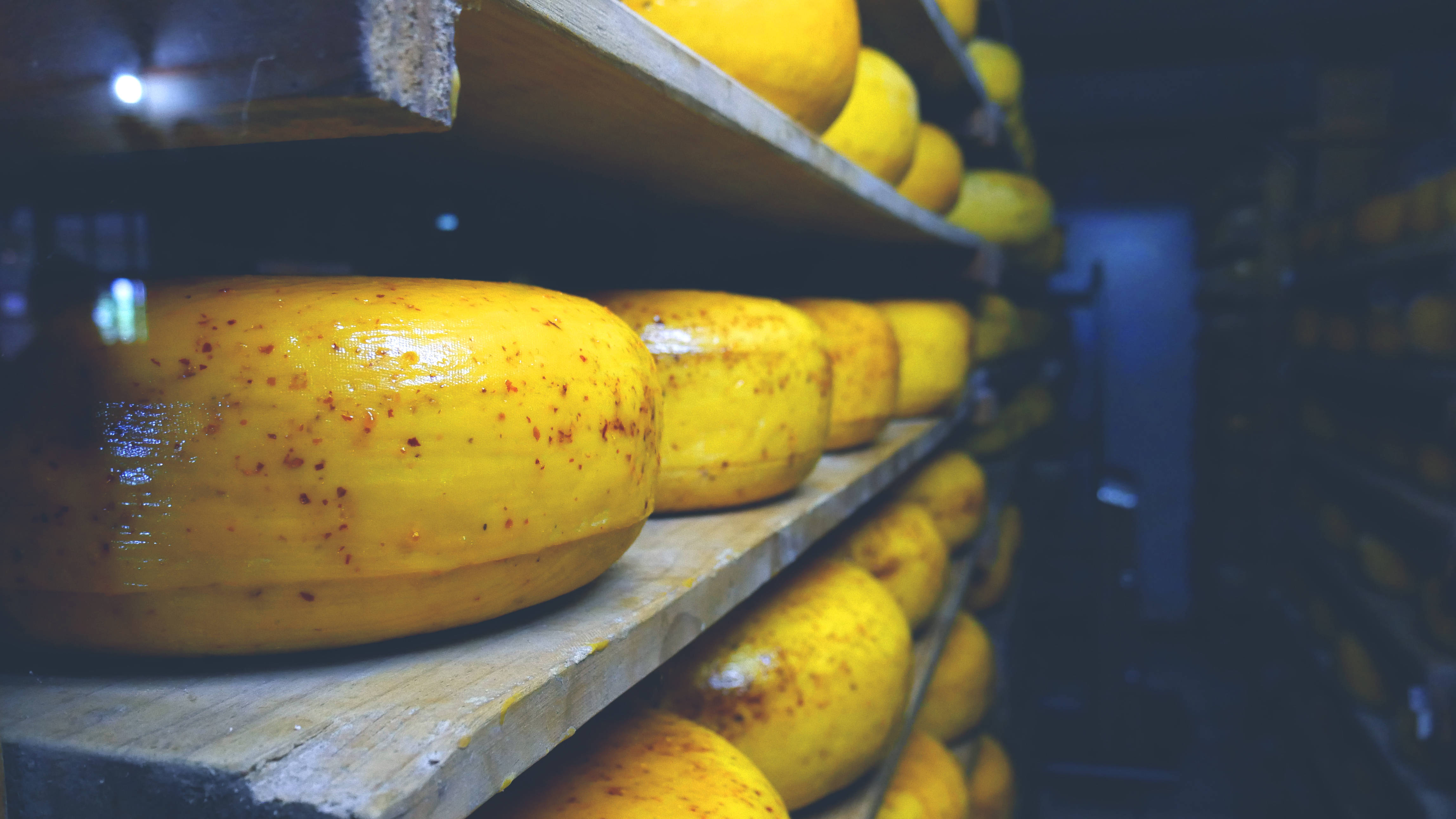 round cheese, golden-yellow cheese wheels, red speckles, 4K Desktop Wallpaper