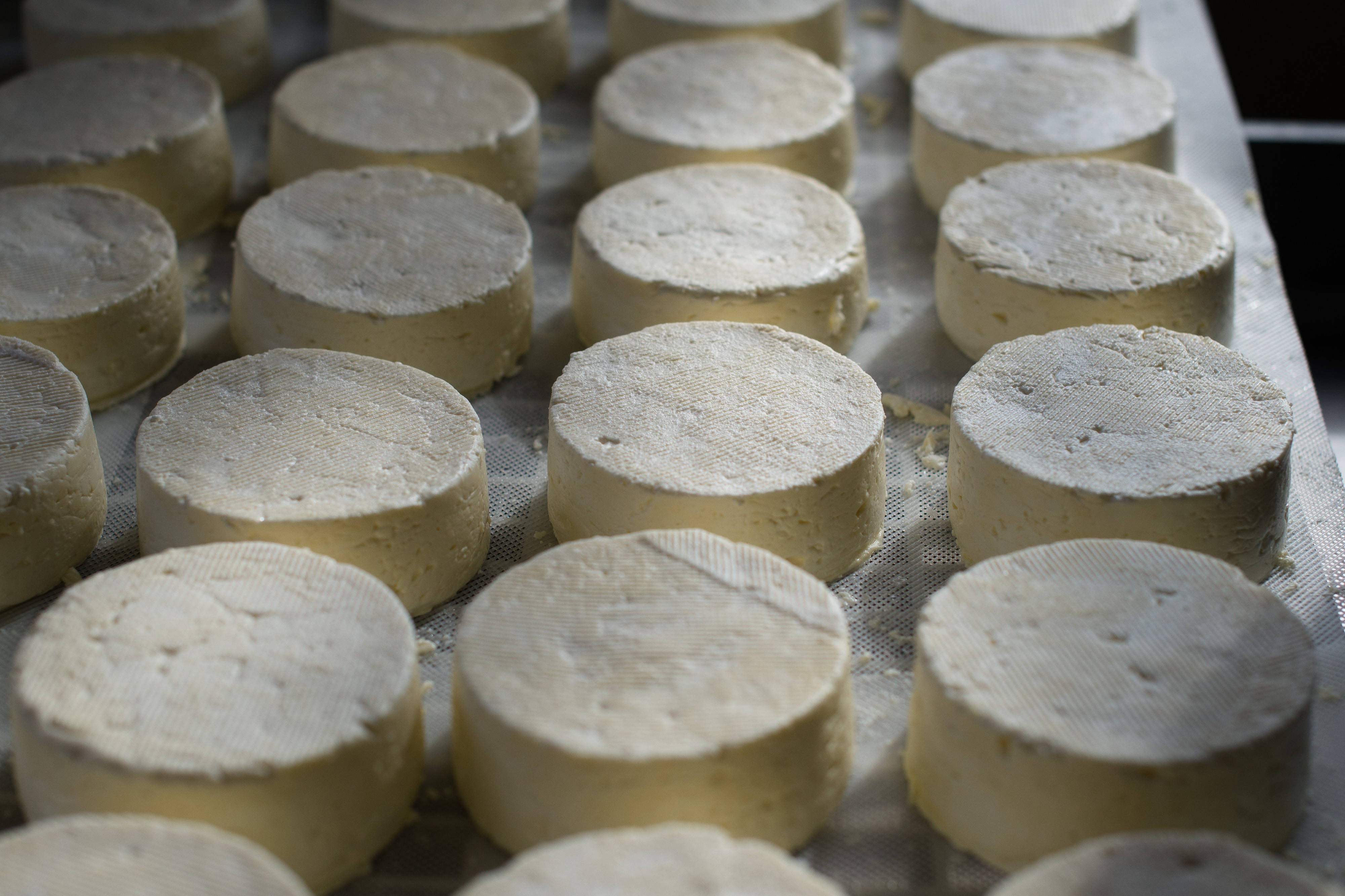 round white cheese blocks, round cheese wheels, textured rinds, 4K Desktop Wallpaper