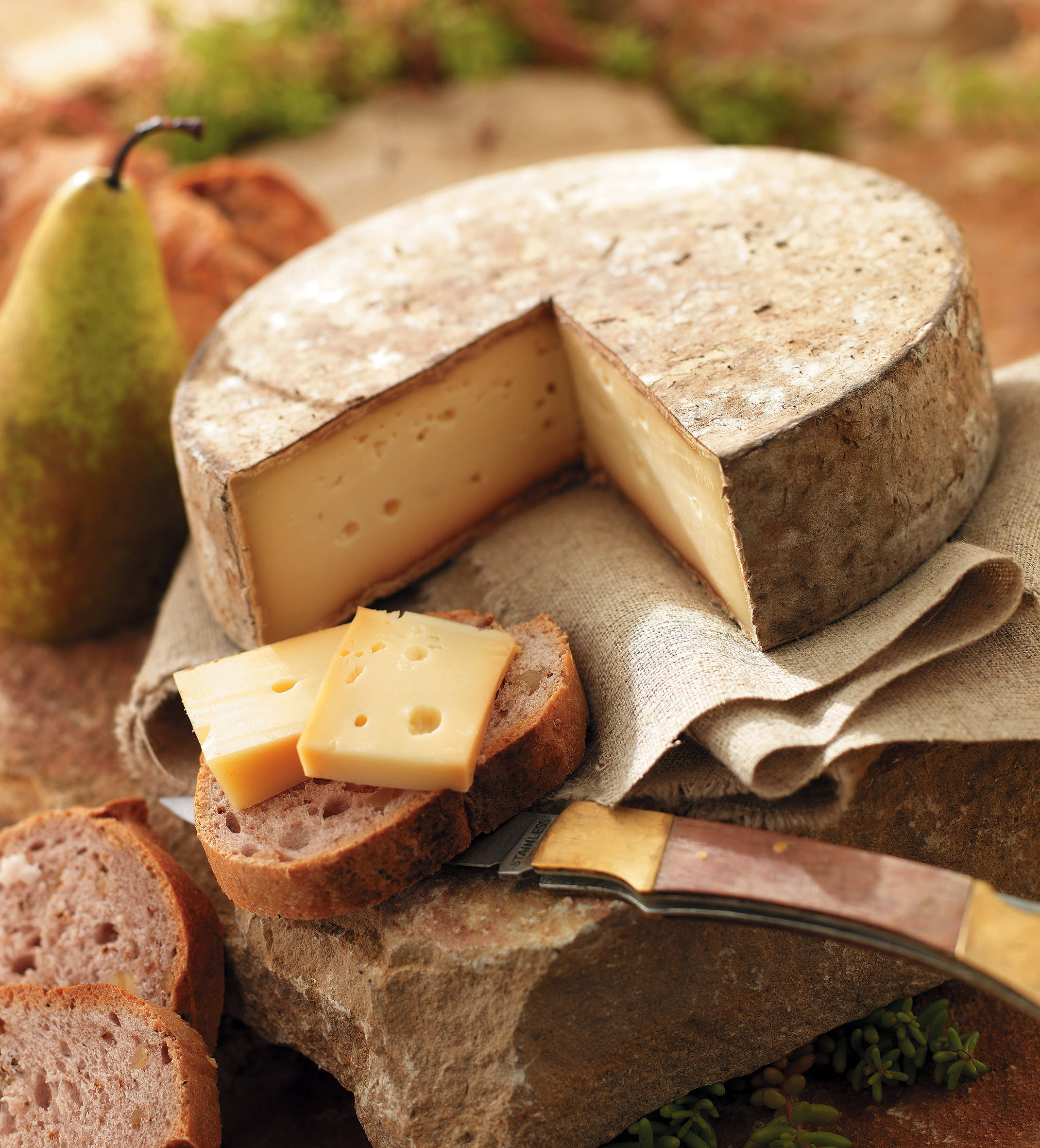 round cheese, aged cheese, creamy interior, Full HD Phone Wallpaper