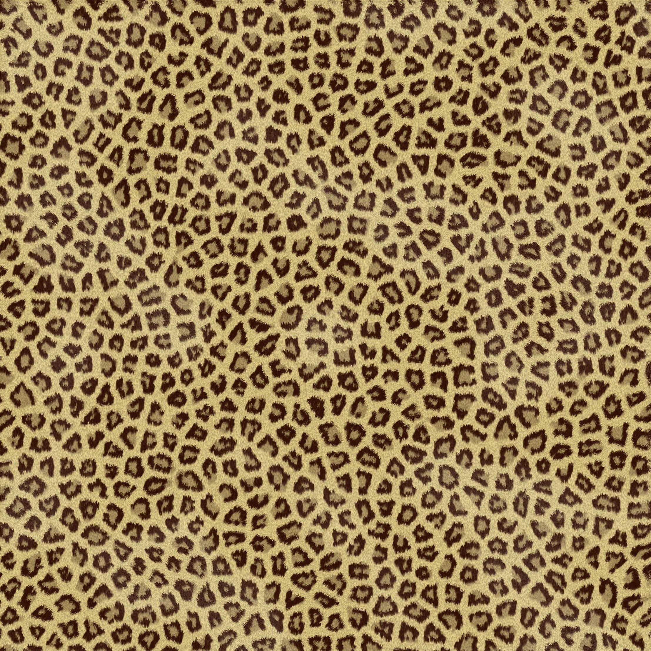 cheetah print pattern, beige fabric, dark brown leopard spots, Full HD Desktop Wallpaper