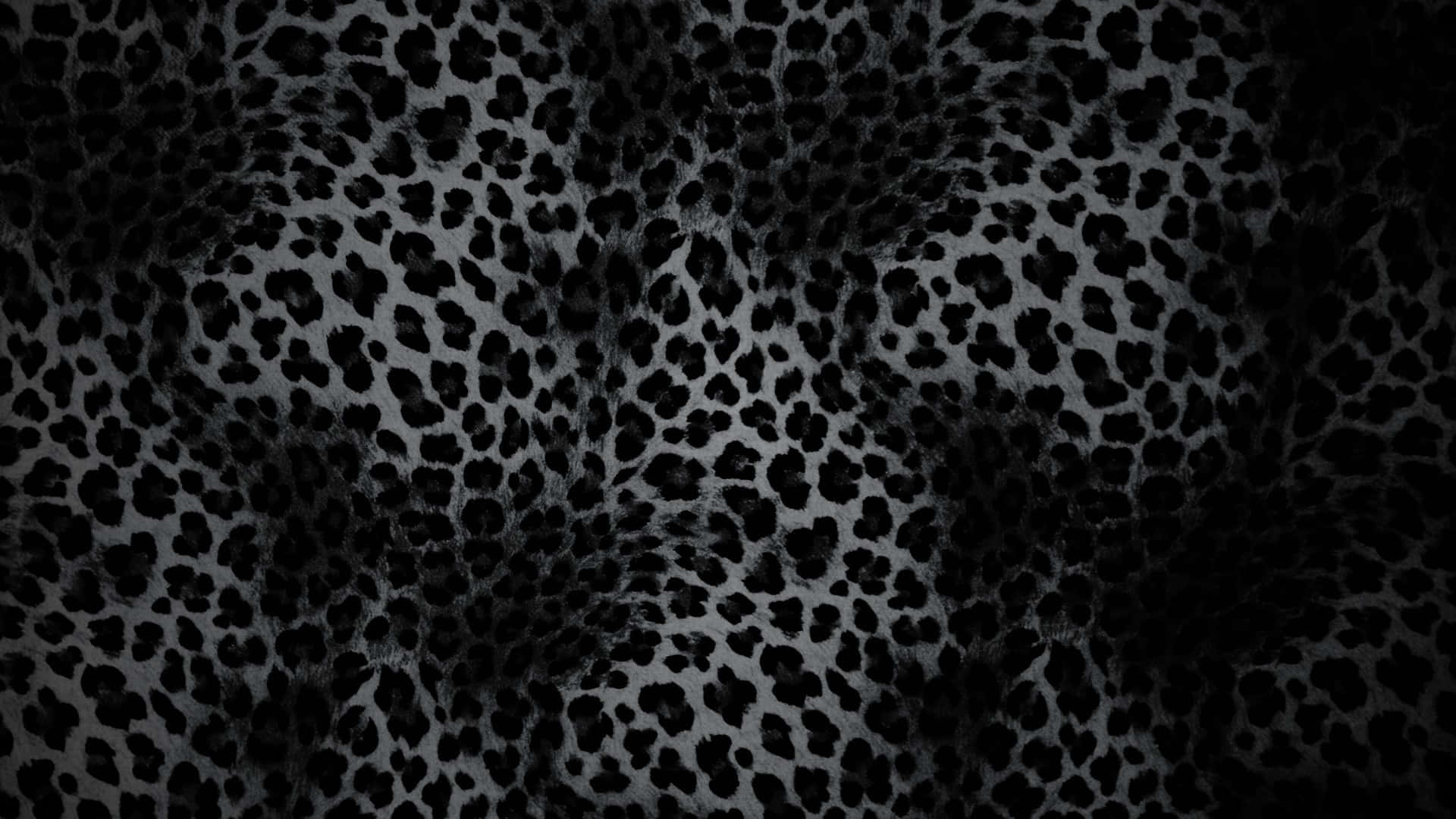 black cheetah print, leopard print fabric, textured fur-like details, Full HD Desktop Wallpaper