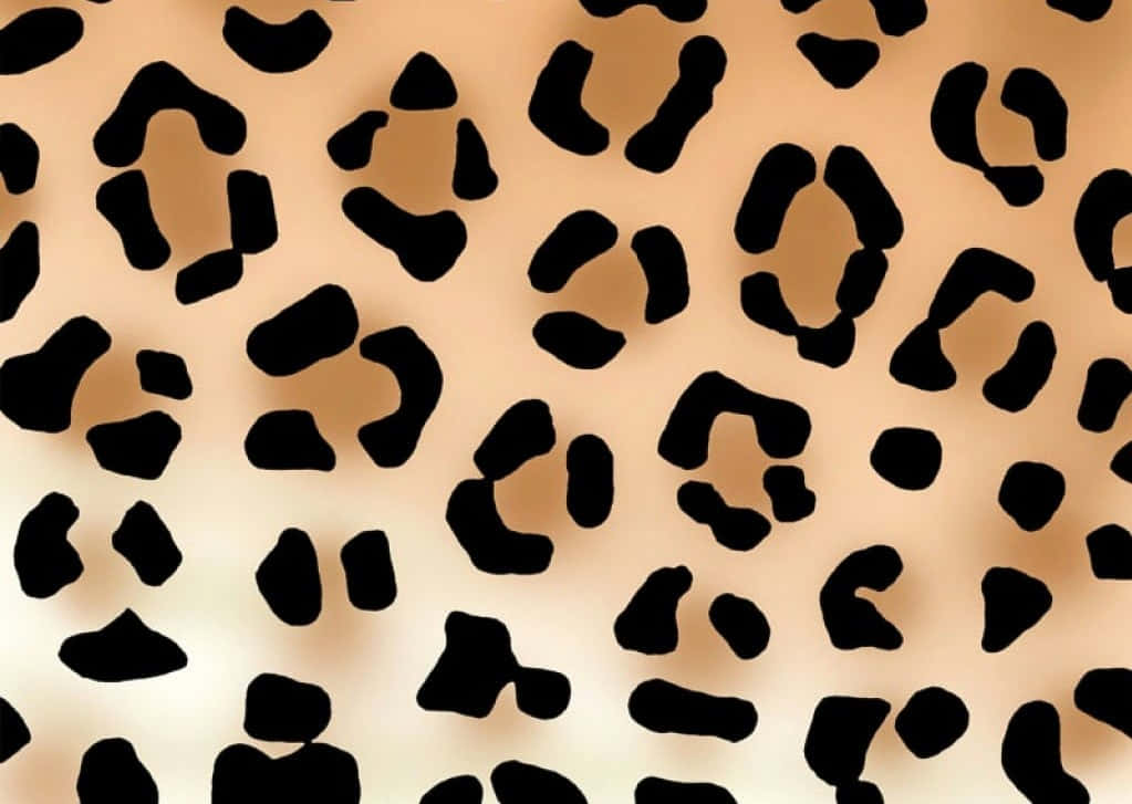 Cheetah Print, tan and black leopard print pattern, luxurious, SD Desktop Wallpaper