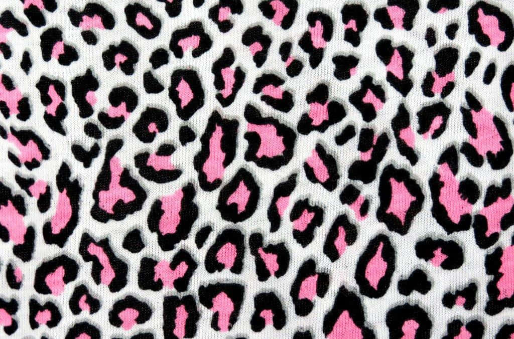 black and pink cute cheetah print, pink black and white leopard print, knit texture, SD Desktop Wallpaper