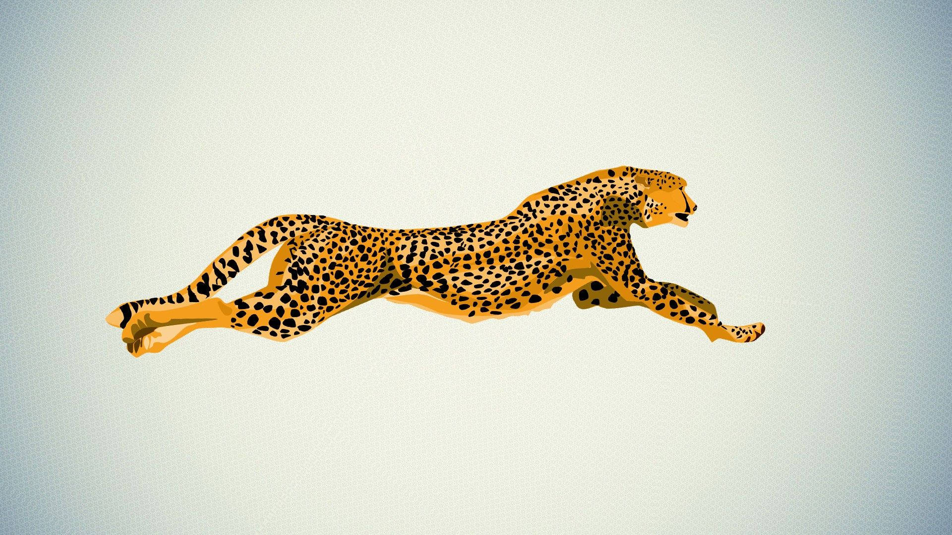 jumping cheetah, sleek cheetah, dynamic leap, Full HD Desktop Wallpaper