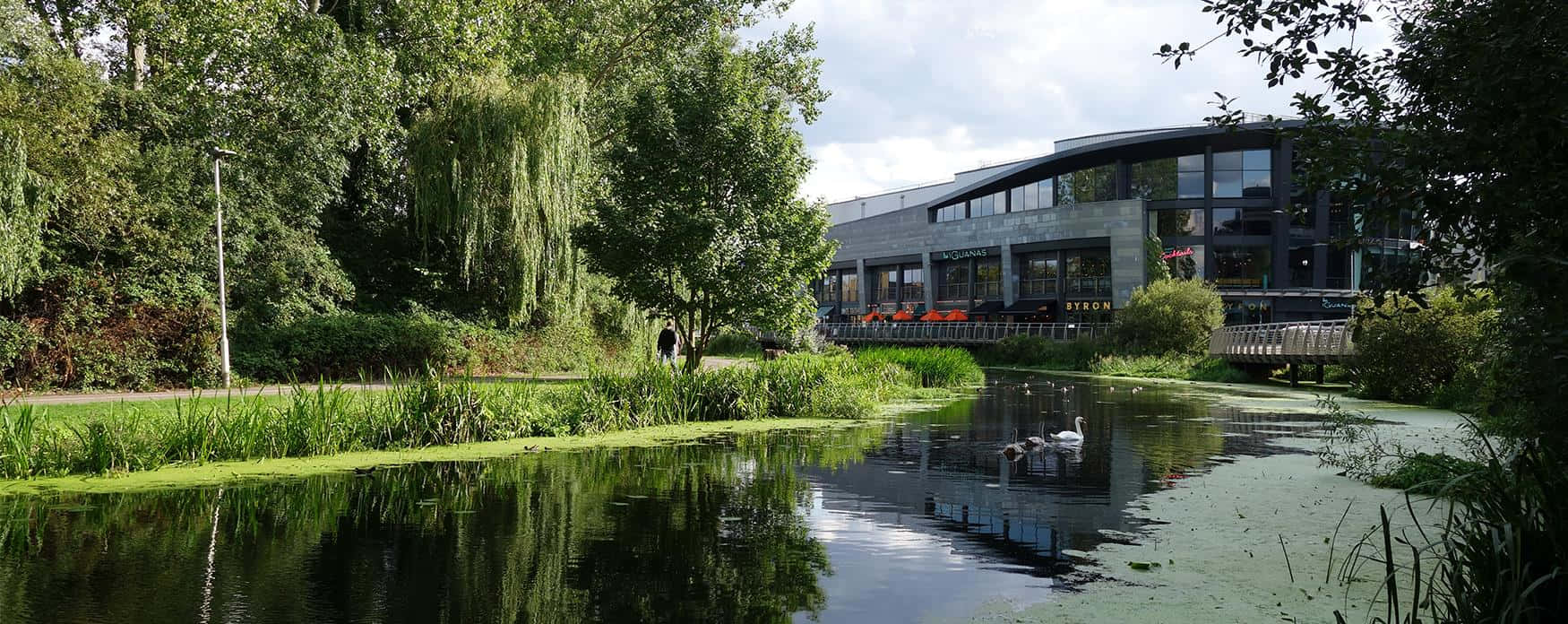 Chelmsford, river view, modern glass building, HD Desktop Wallpaper