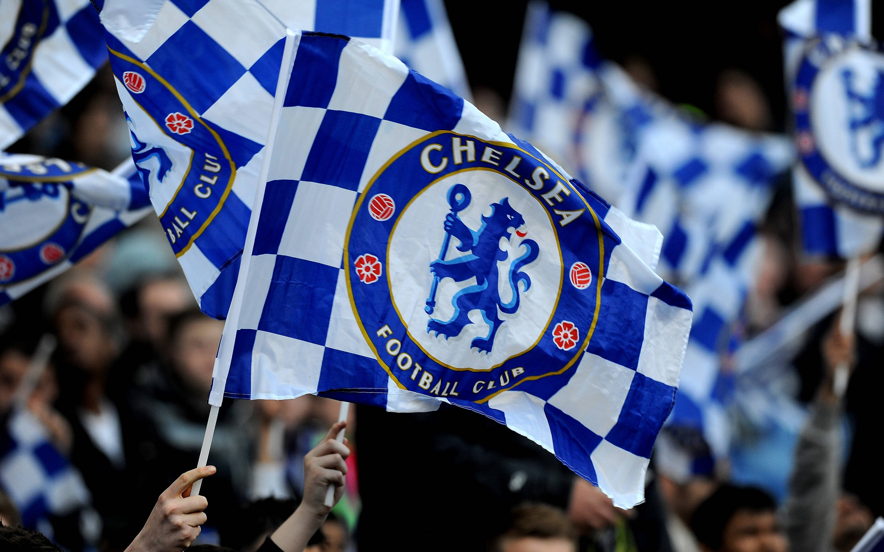 Chelsea FC, blue and white checkered, stadium match, 2K Desktop Wallpaper