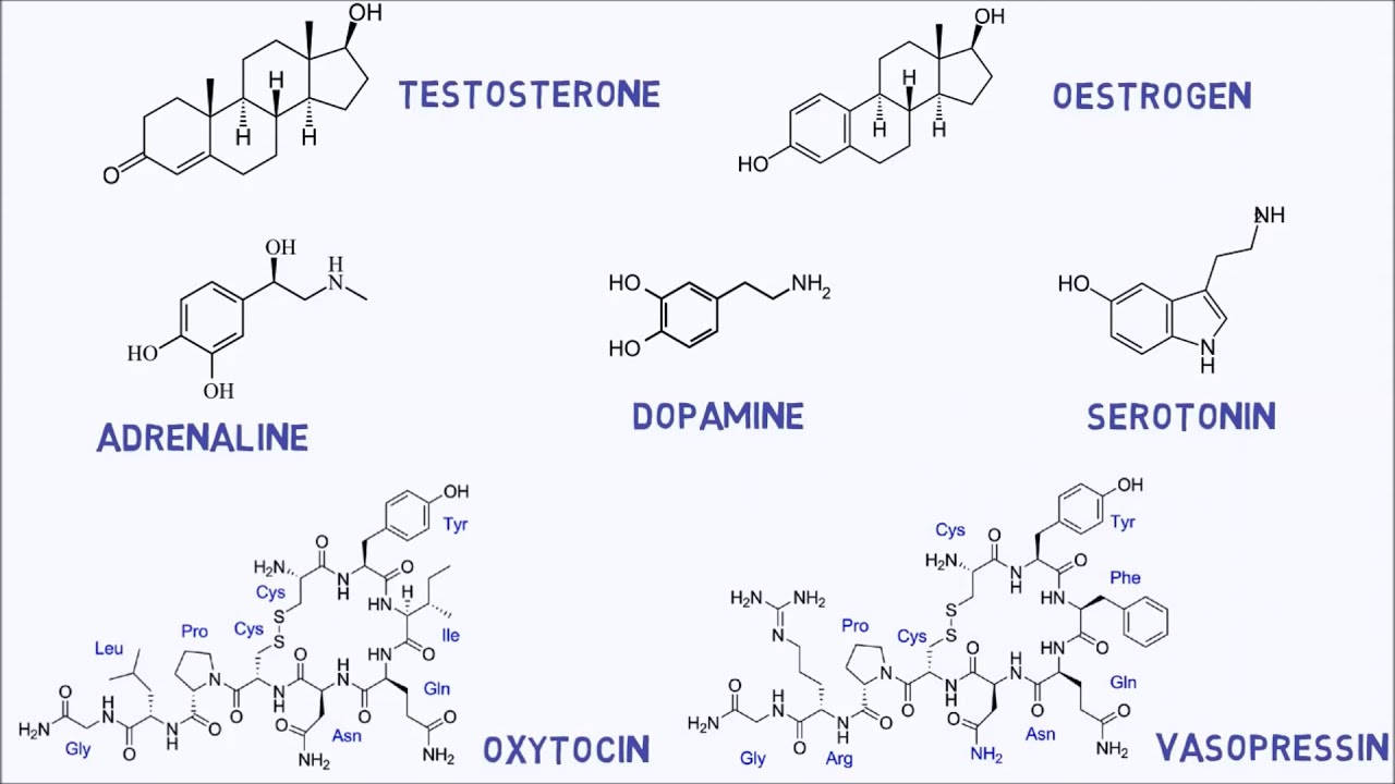 adrenaline, dopamine, testosterone, HD Desktop Wallpaper