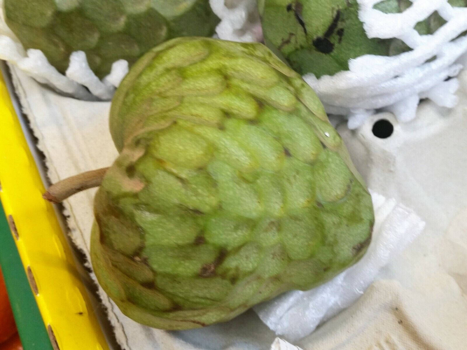 Cherimoya, green, scaly, HD Desktop Wallpaper