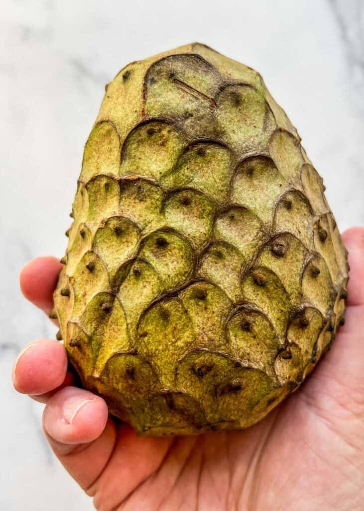 Cherimoya, soursop fruit, green spiky, SD Phone Wallpaper