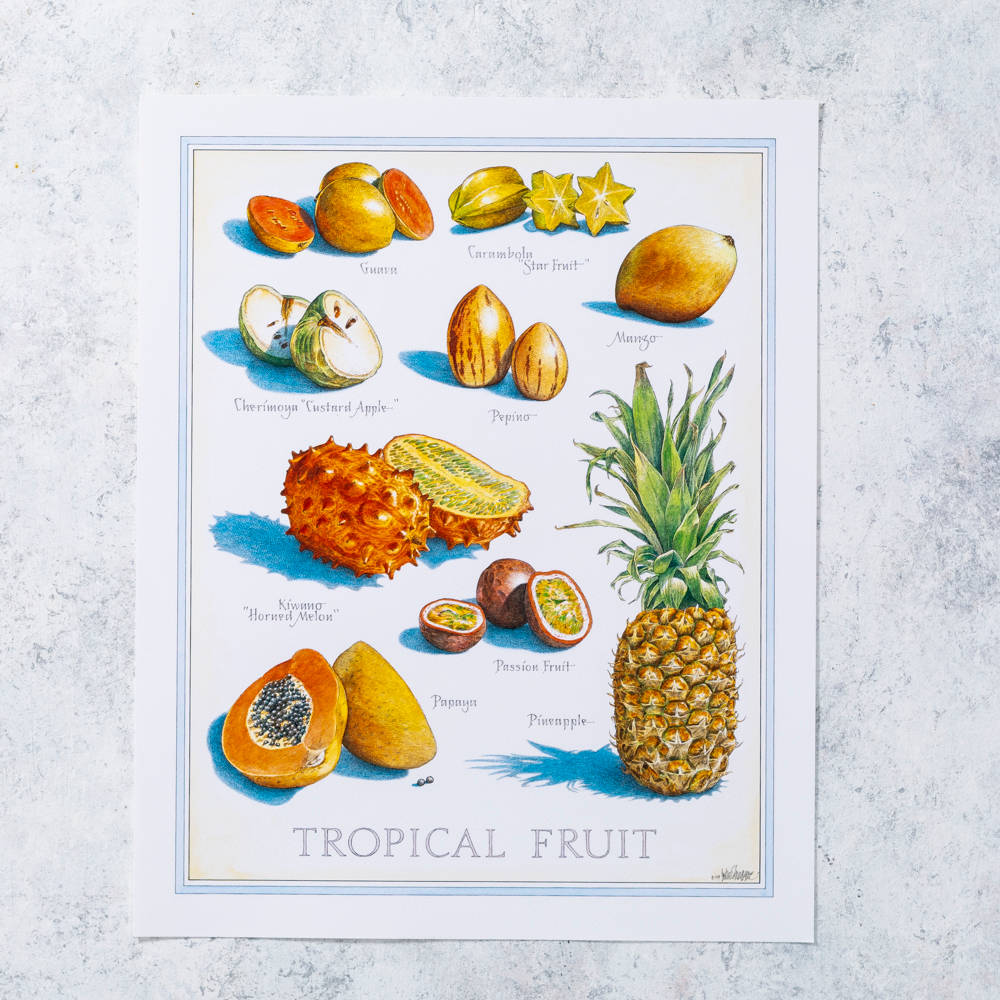 Cherimoya, tropical fruits, vintage-style watercolor illustration, SD Desktop Wallpaper