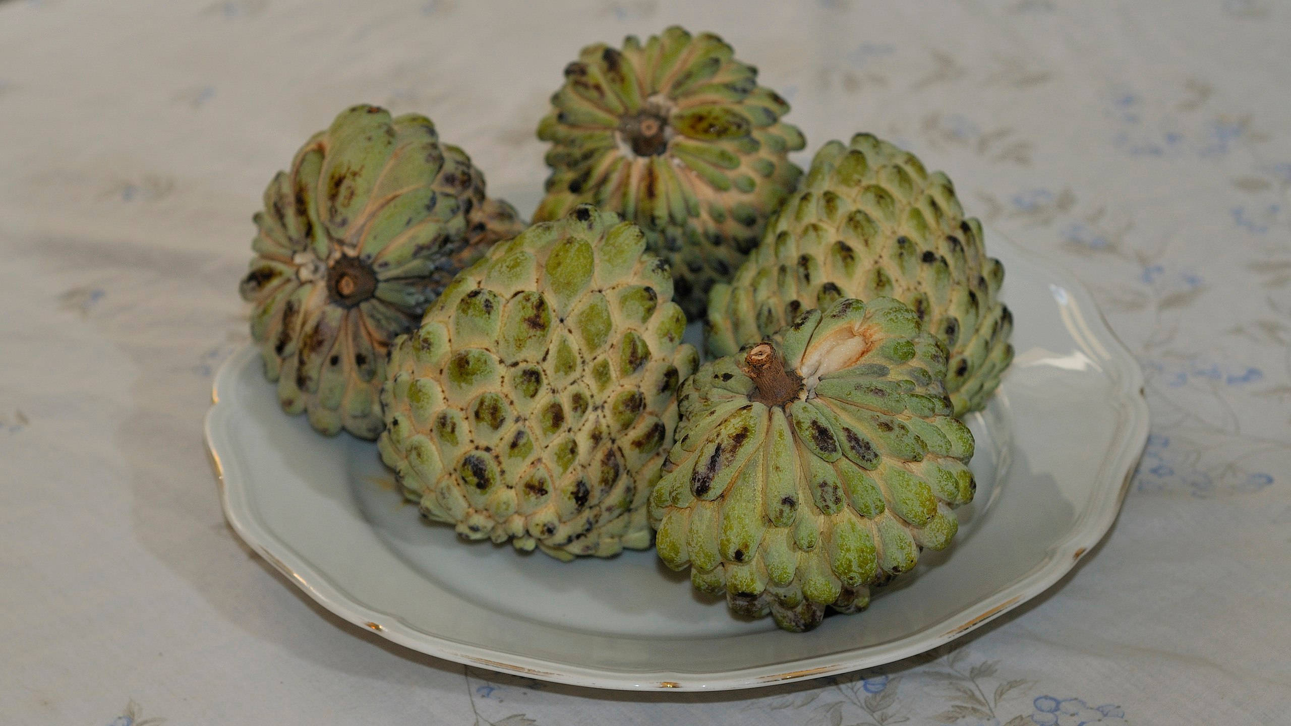 ripe cherimoya plant, white plate, floral tablecloth, 2K Desktop Wallpaper