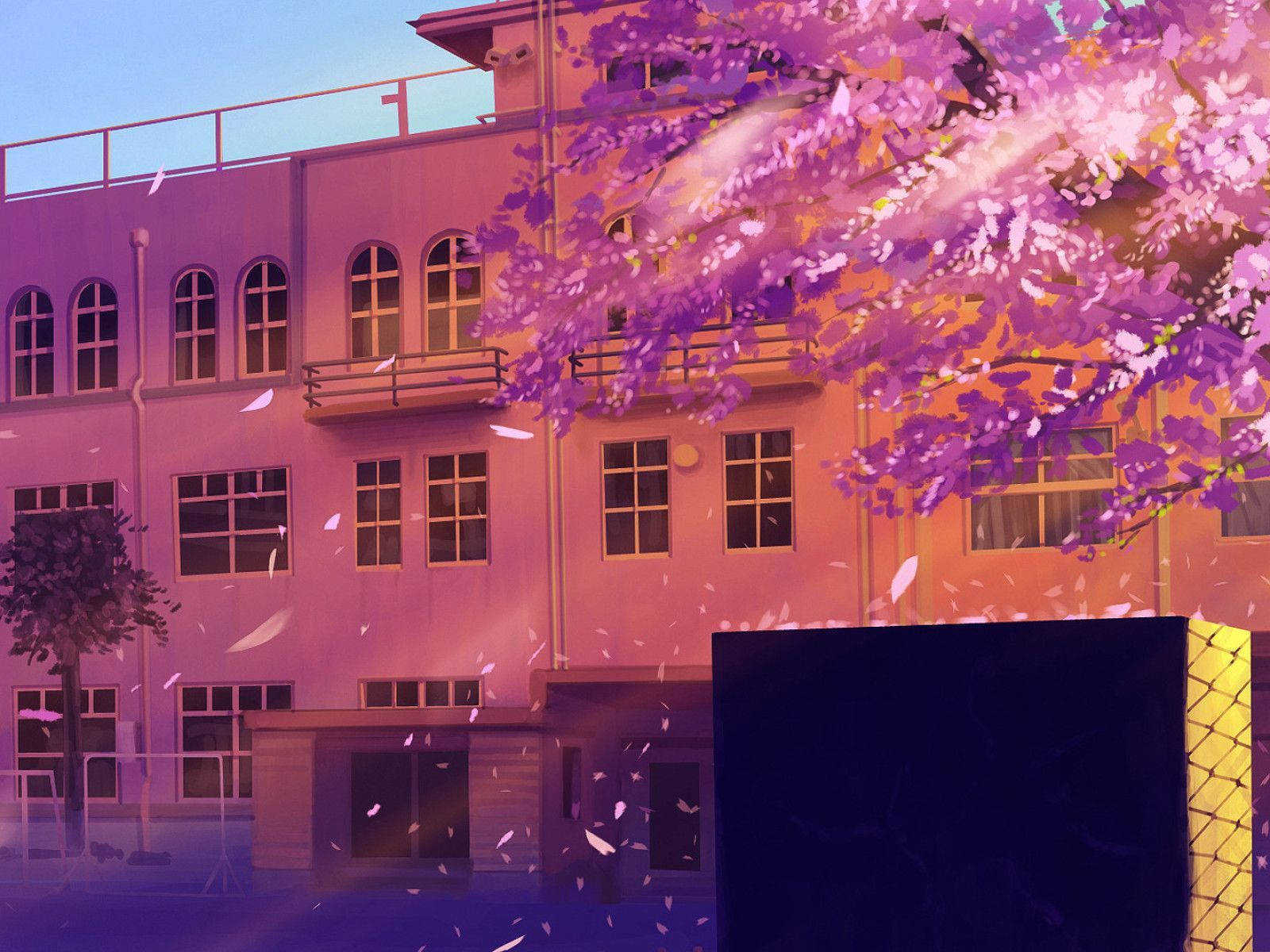 Anime School Scenery, Cherry Blossom Tree, warm sunset light, HD Desktop Wallpaper
