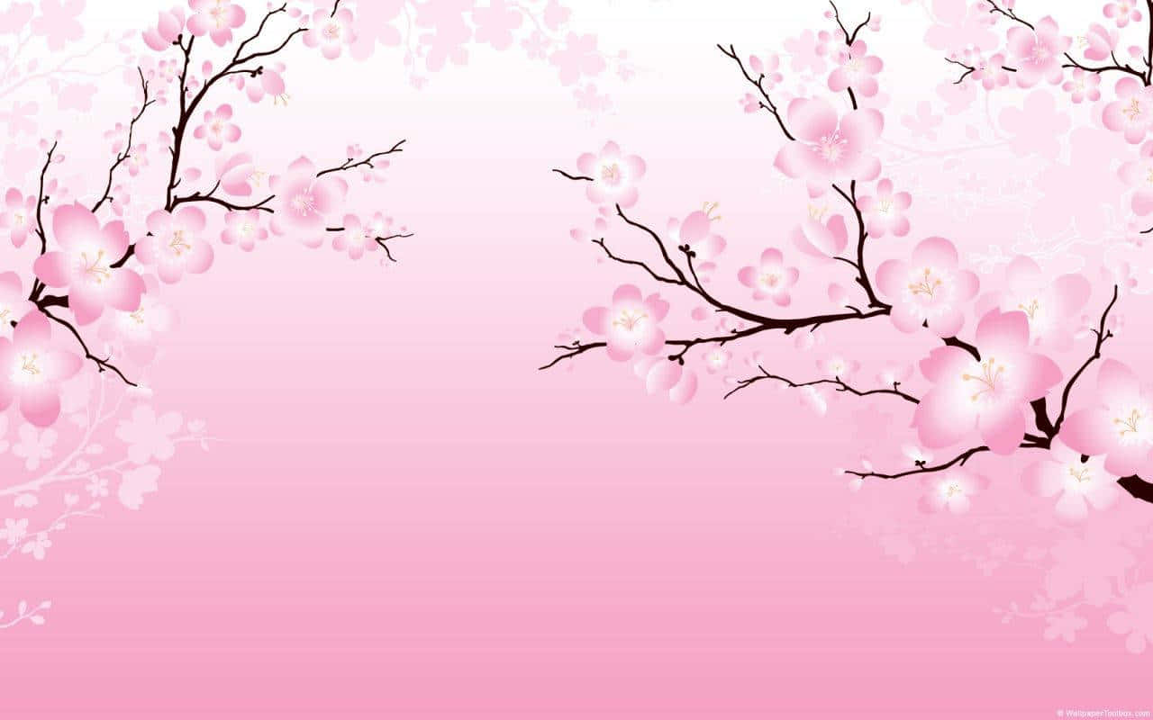 Anime Cherry Blossom Backdrop, pink cherry blossom branches, delicate flowers, HD Desktop Wallpaper