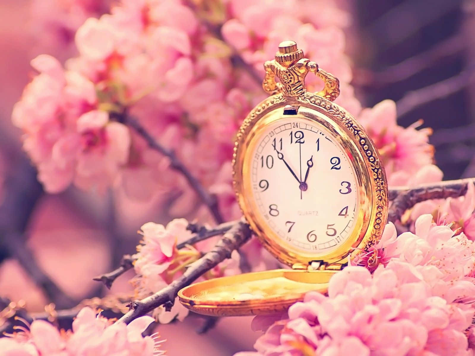 Cherry Blossom Tree, gold, pocket watch, HD Desktop Wallpaper