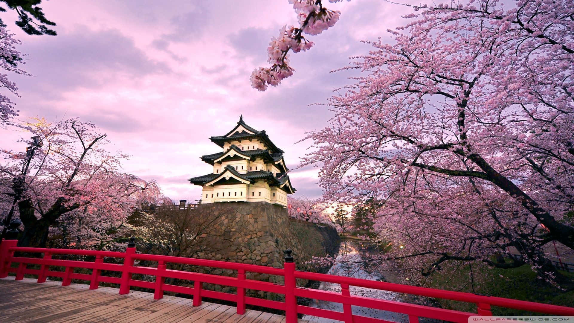 Japanese castle, pagoda, cherry blossoms, Full HD Desktop Wallpaper