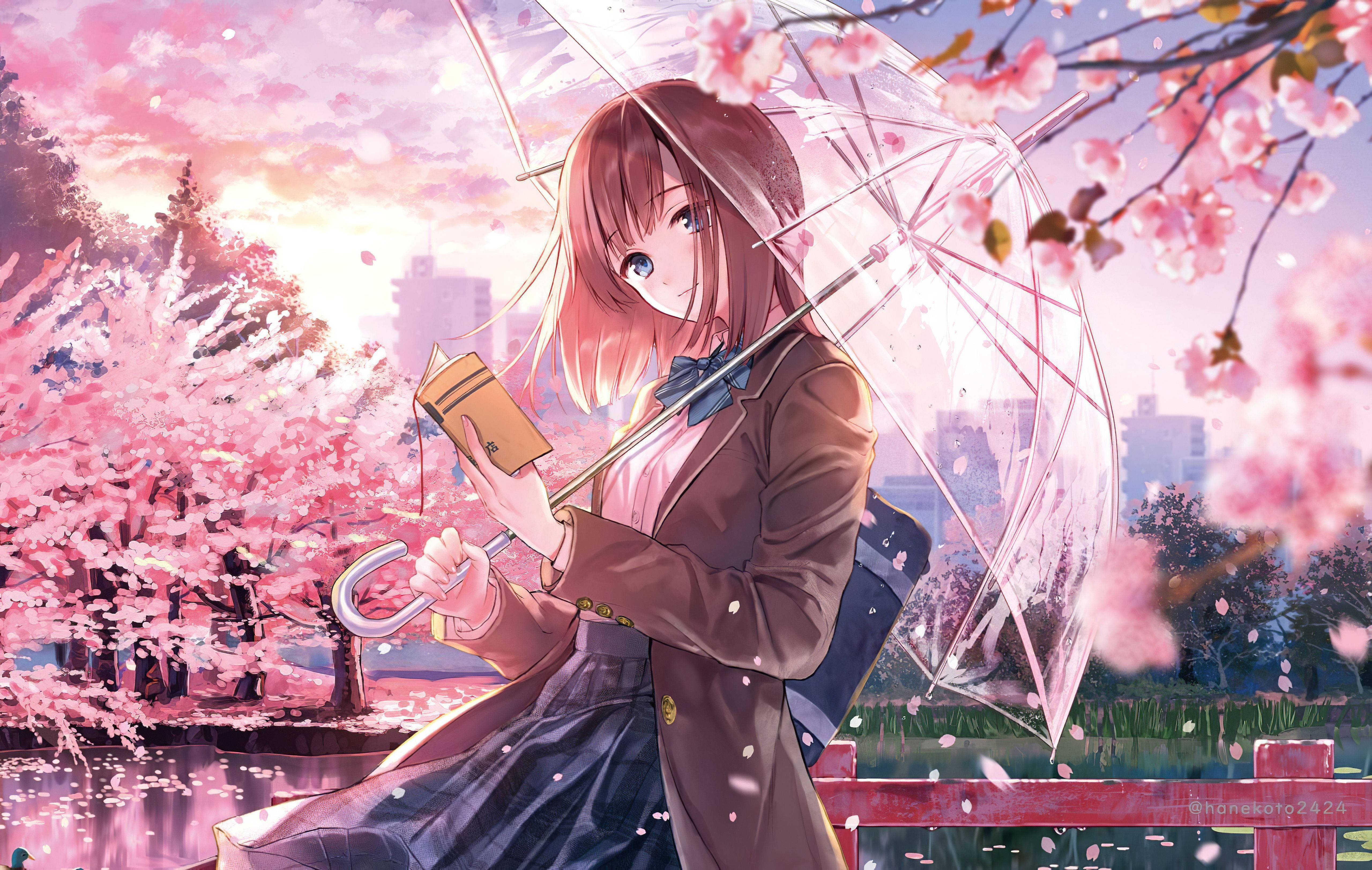 4K, spring, transparent umbrella, 5K Desktop Wallpaper
