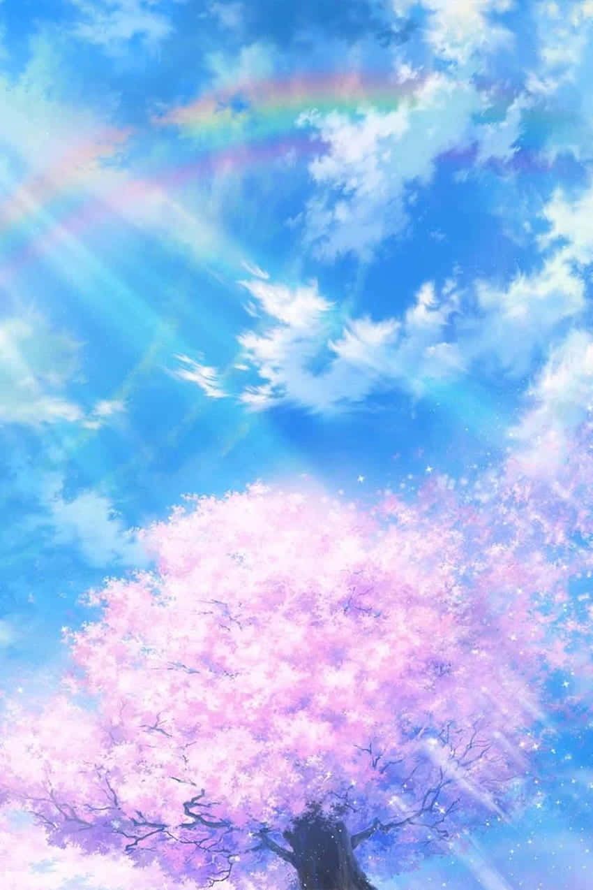 Cherry Blossoms Anime Scenery, rainbow, sun rays, SD Phone Wallpaper