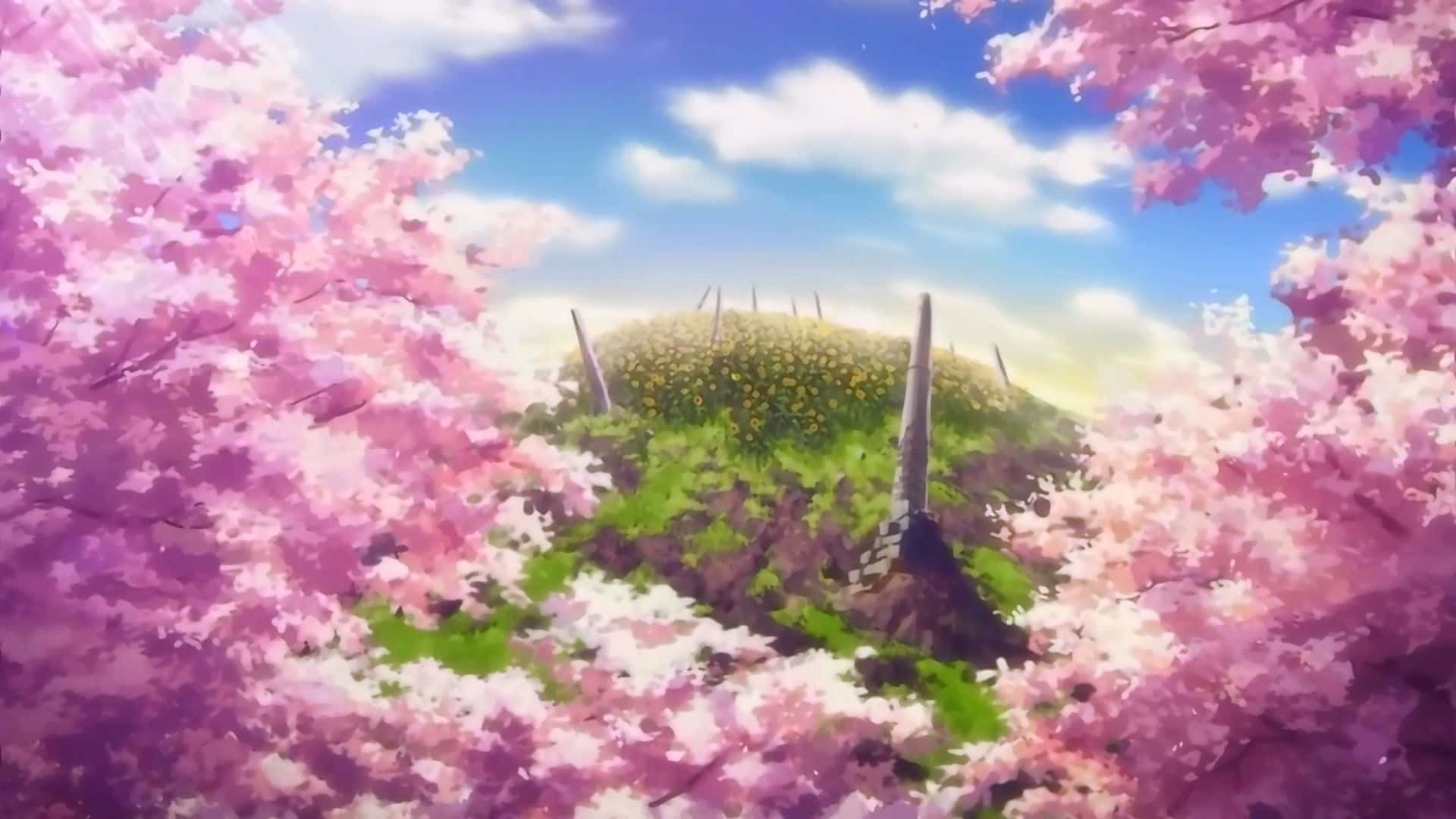 Cherry Blossoms Anime Scenery, pink cherry blossoms, sunlit hill, Full HD Desktop Wallpaper