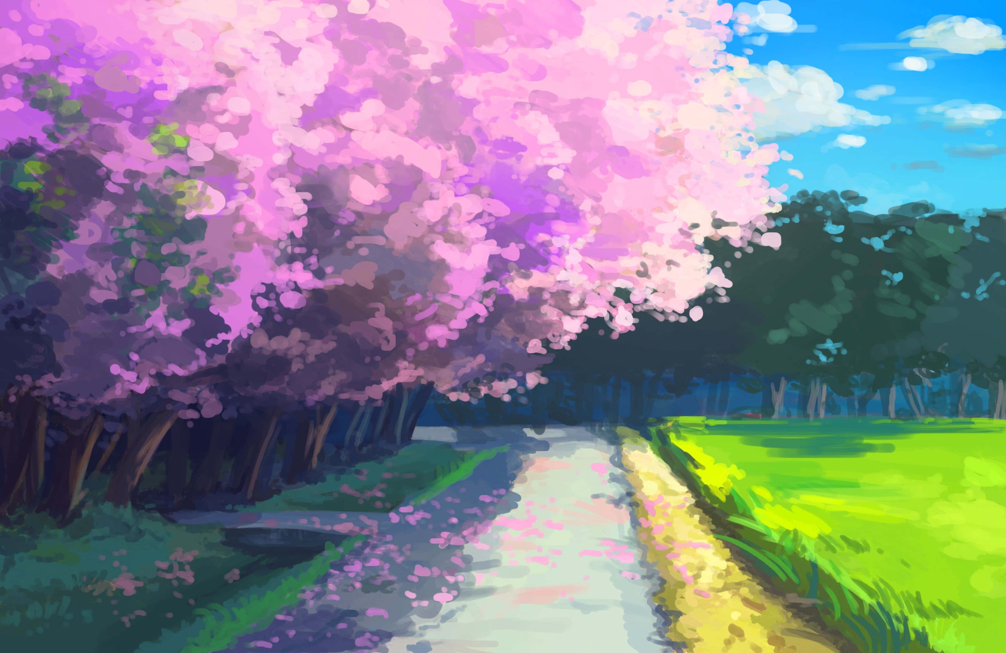 Cherry Blossoms Anime Scenery, vibrant pink cherry blossom trees, bright blue sky, 2K Desktop Wallpaper