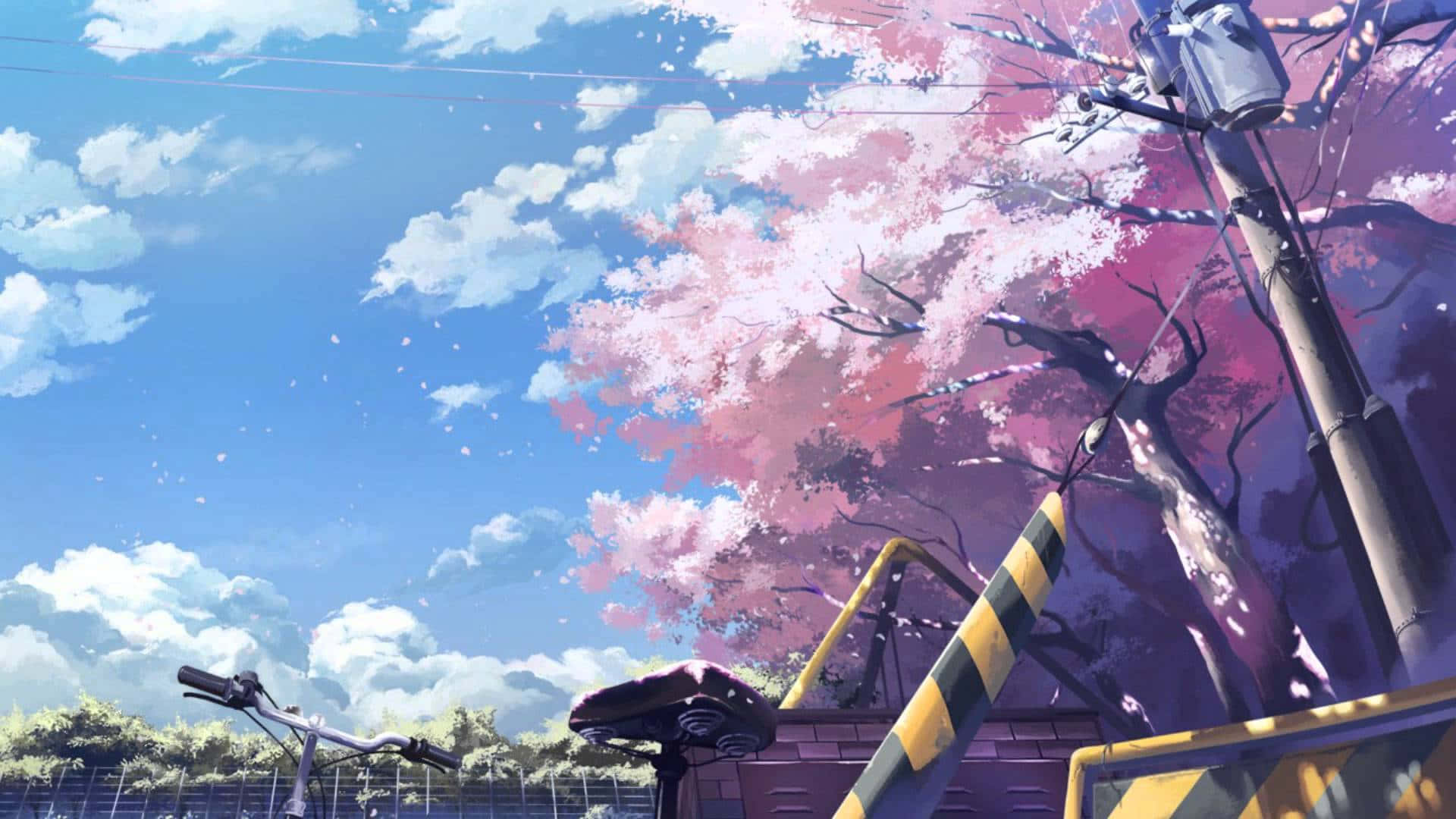 Cherry Blossoms Anime Scenery, bicycle, blossoming pink cherry tree, Full HD Desktop Wallpaper