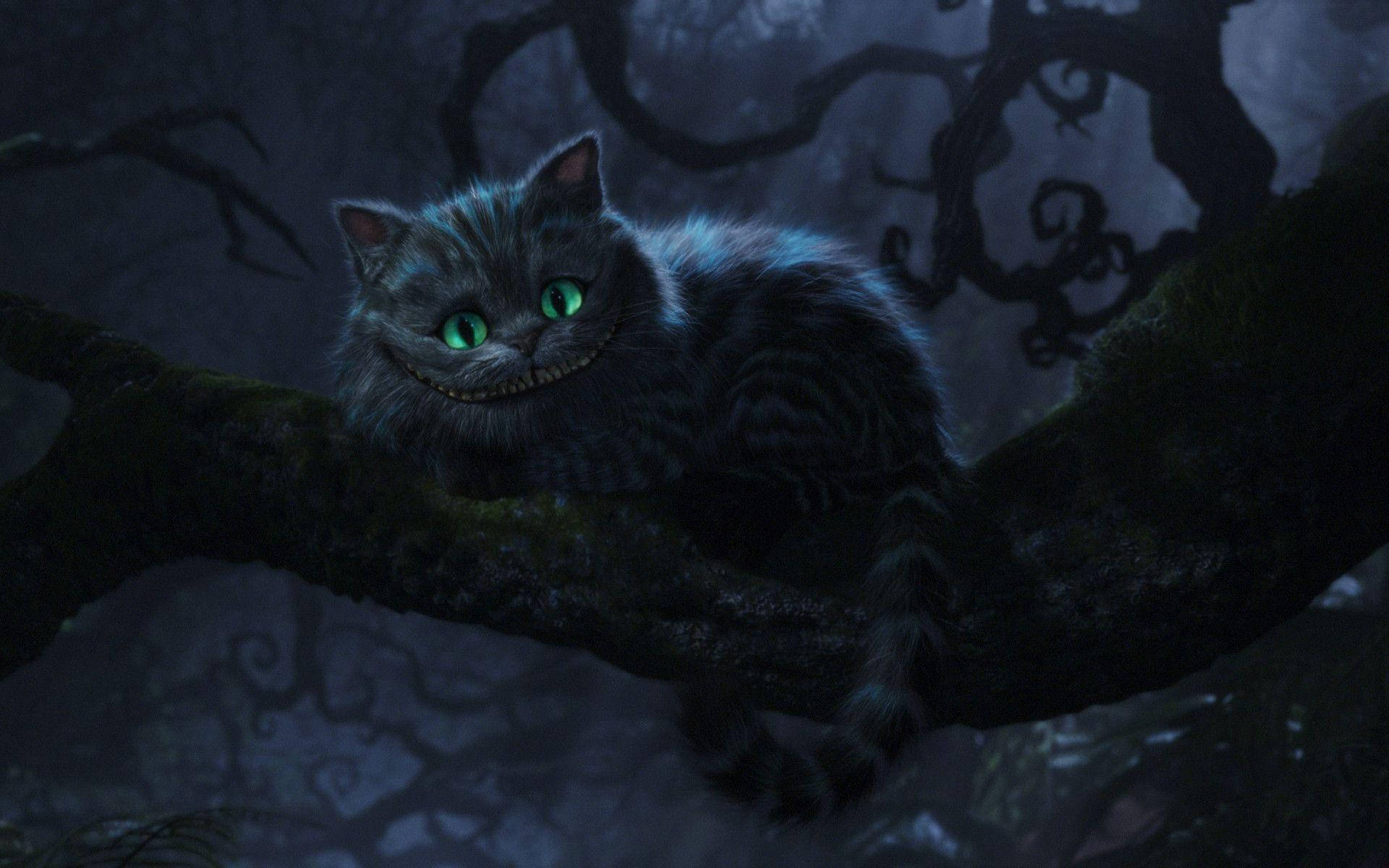 Cheshire Cat, dark twisted forest, glowing green eyes, Full HD Desktop Wallpaper