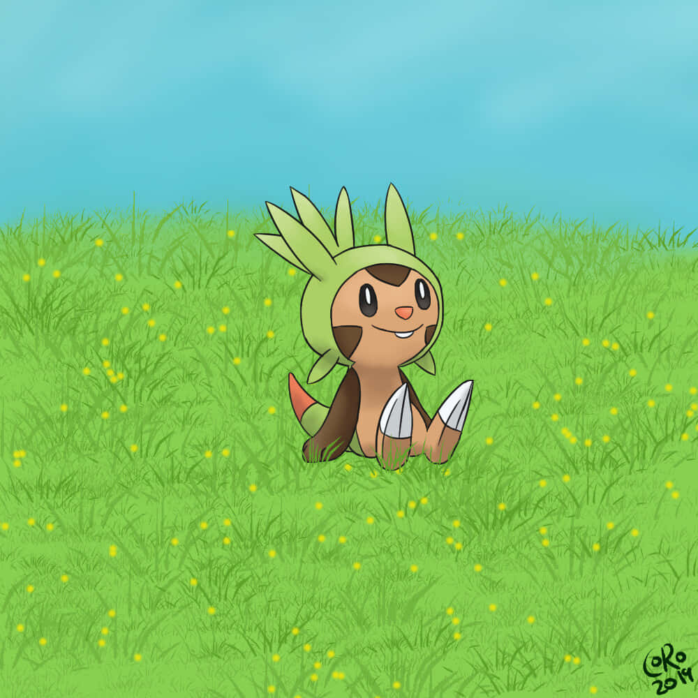 Chespin, green leaf-like ears, field of grass, SD Desktop Wallpaper