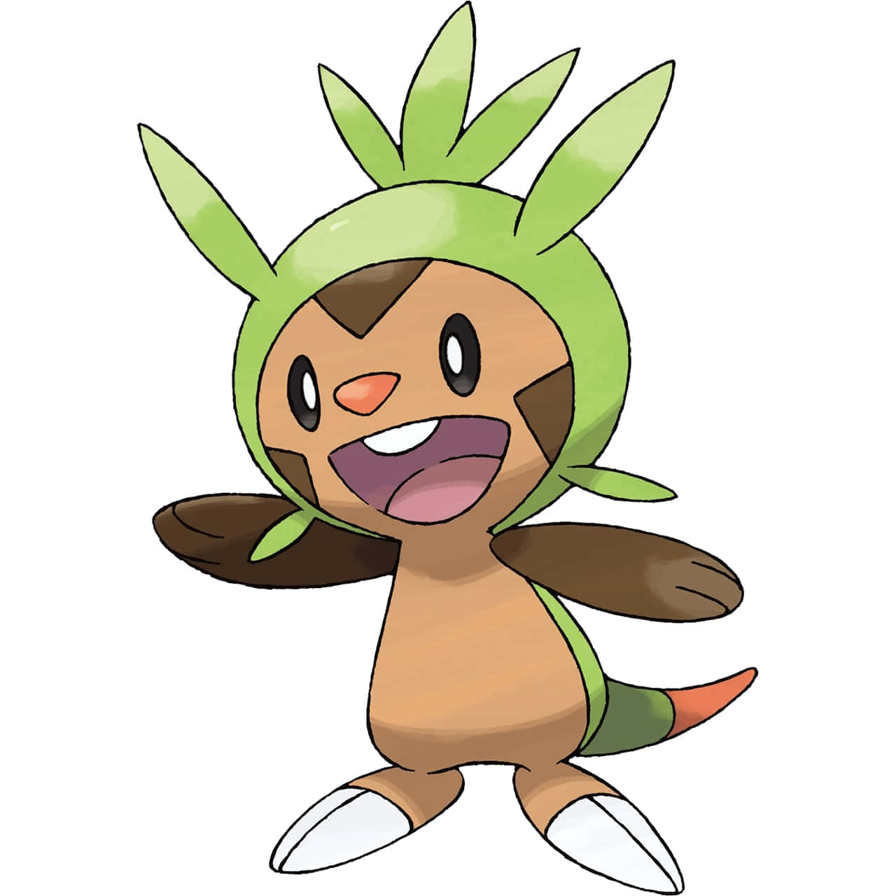 Chespin, green leafy hat, brown body, HD Desktop Wallpaper