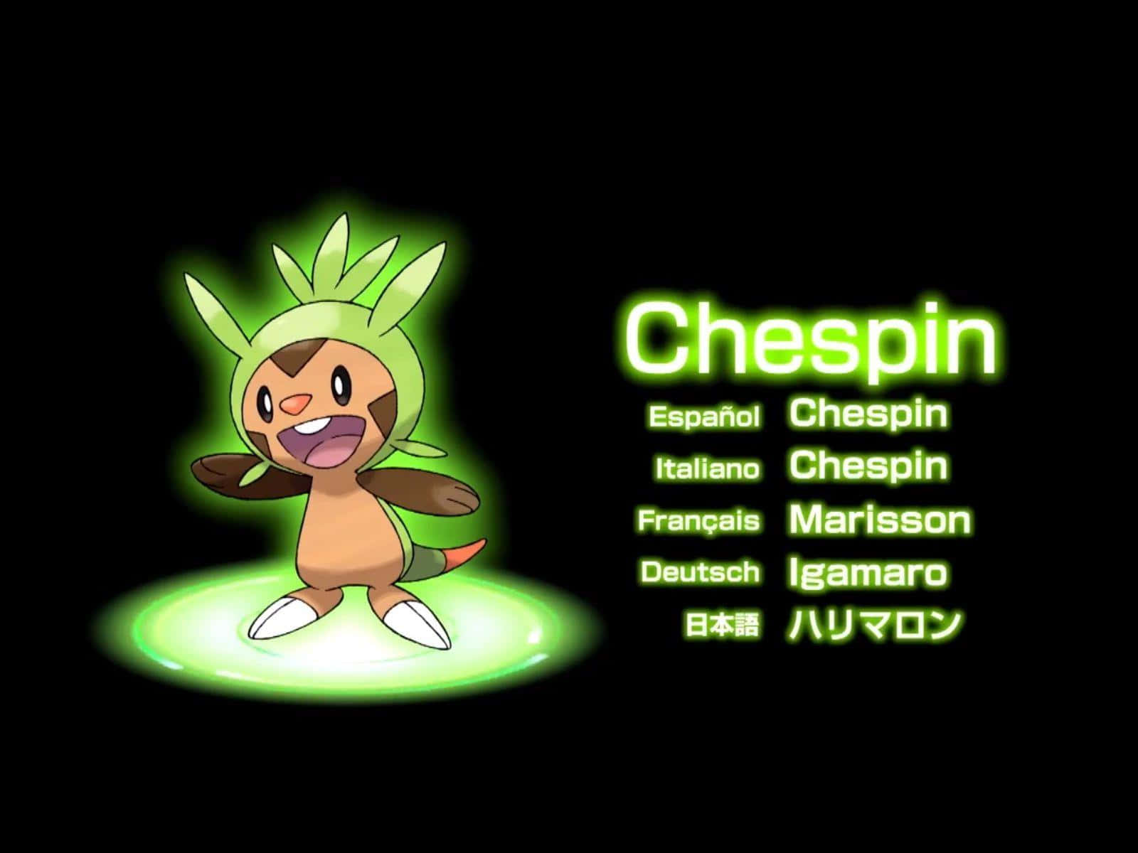 Chespin, glowing green circle, black background, HD Desktop Wallpaper