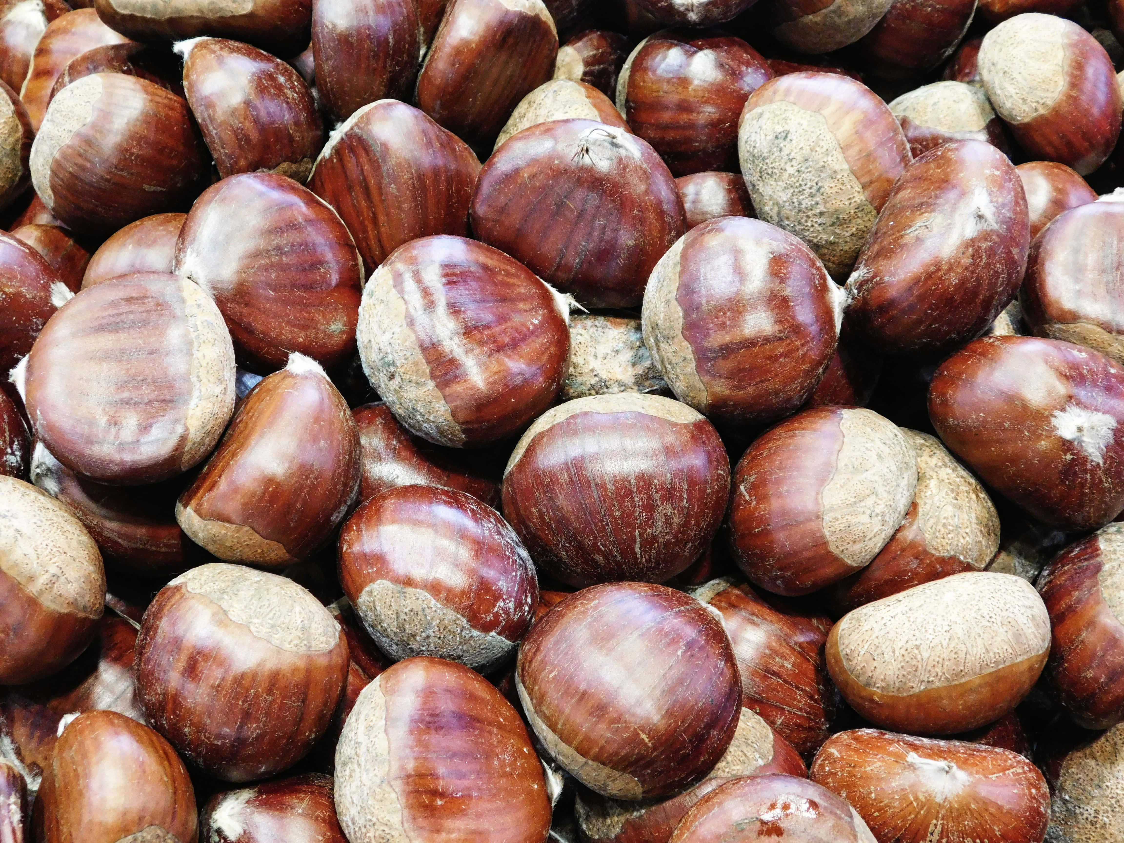 chestnuts, glossy brown, natural texture, 4K Desktop Wallpaper